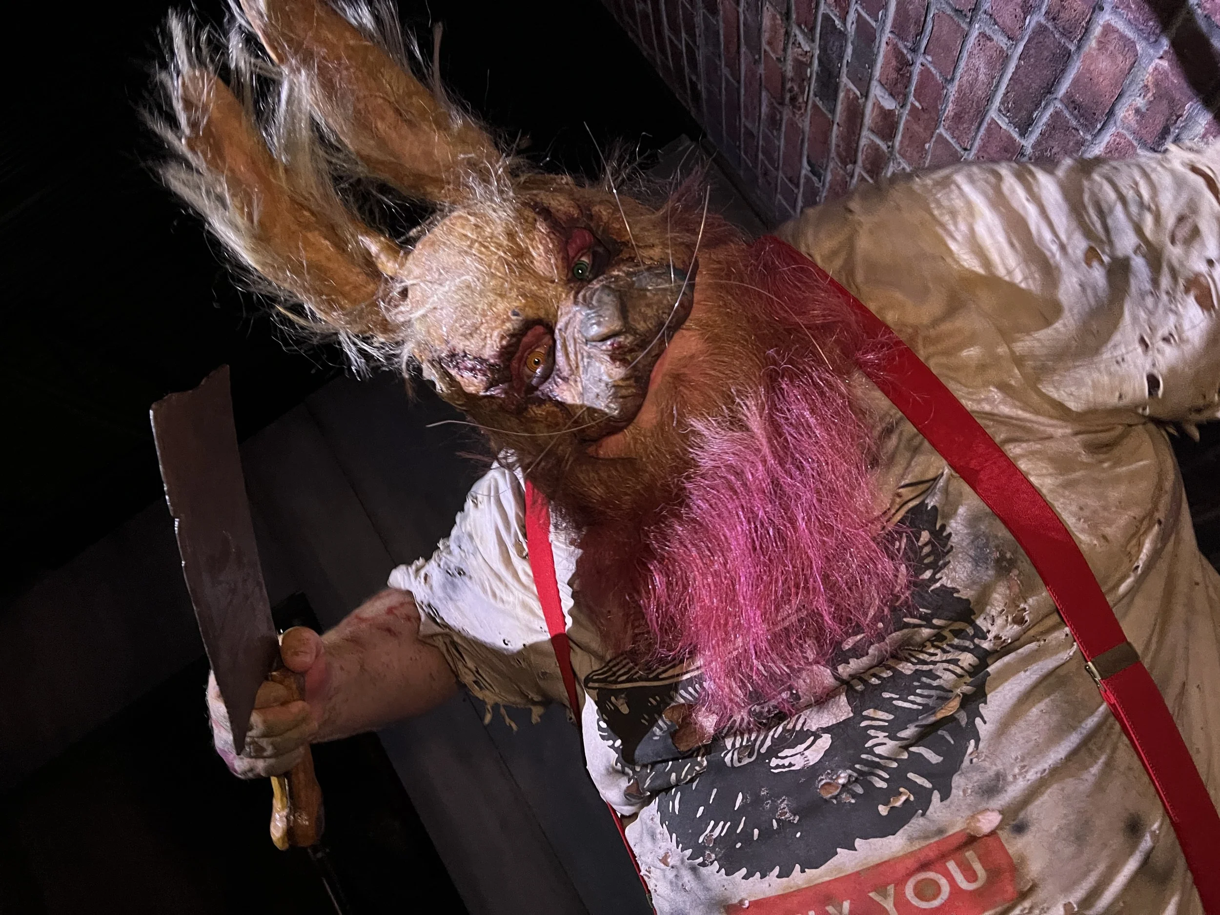 HauntedHouseBunny.JPG