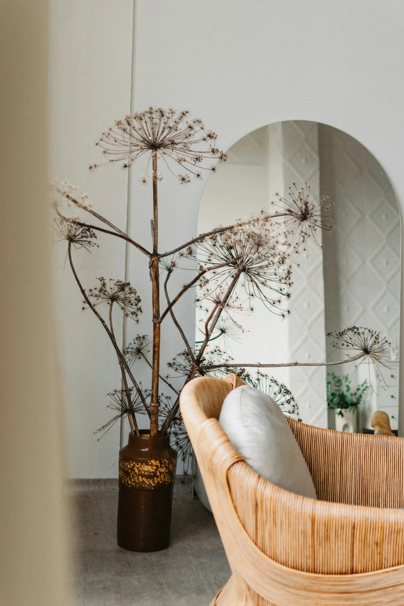 chair with plant and mirror