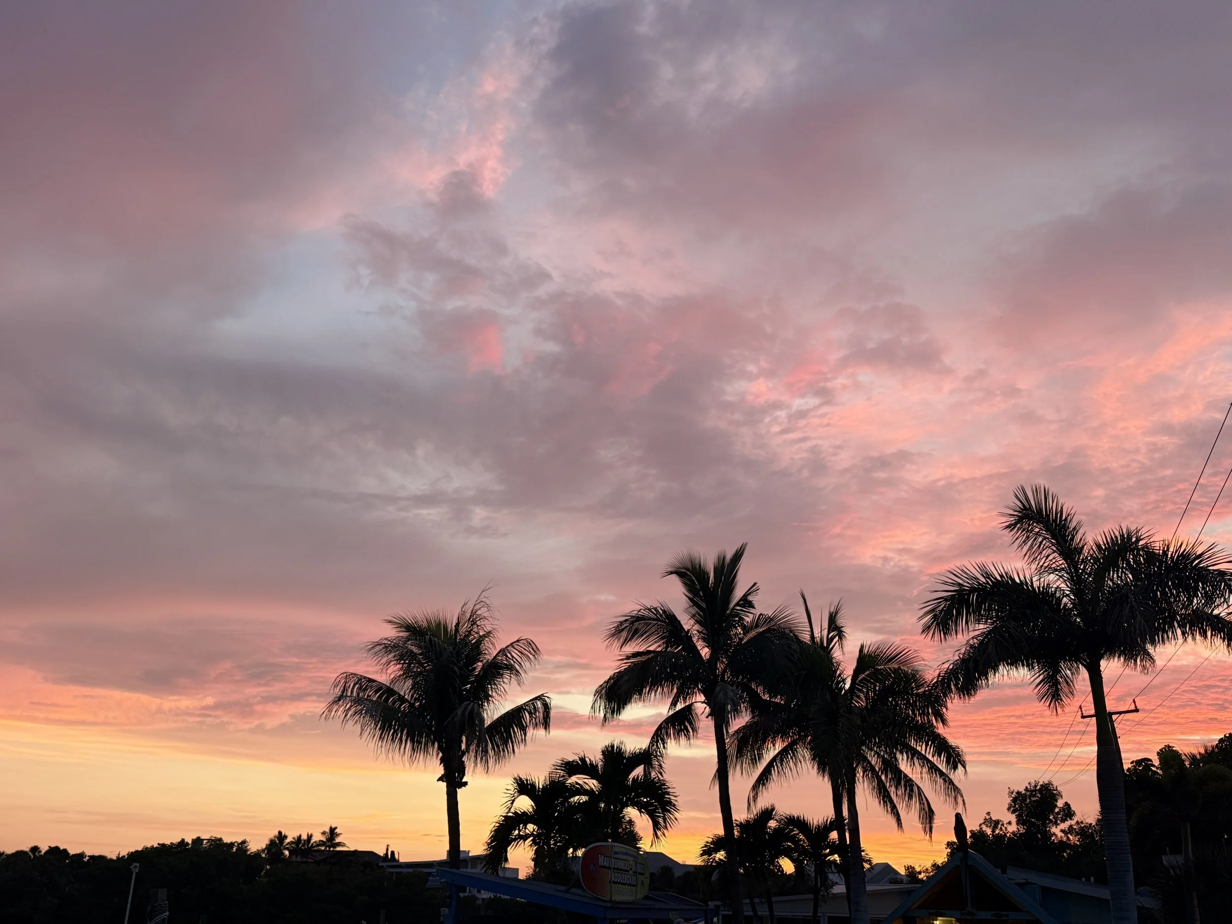 Nicole Lively – Fab Florida