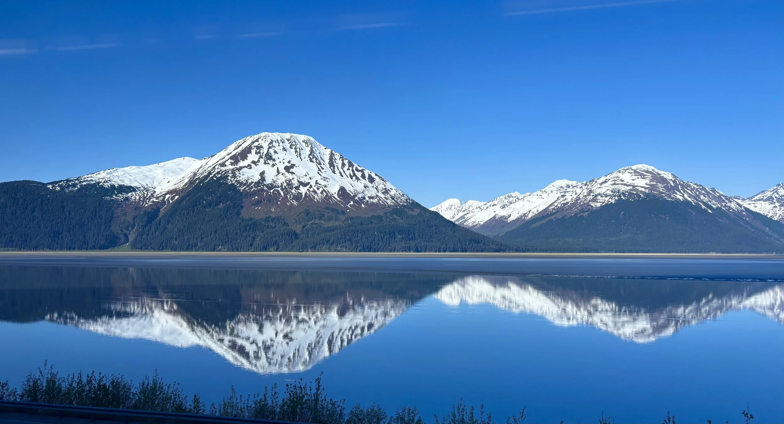 Joanna Davis – Exploring Nature