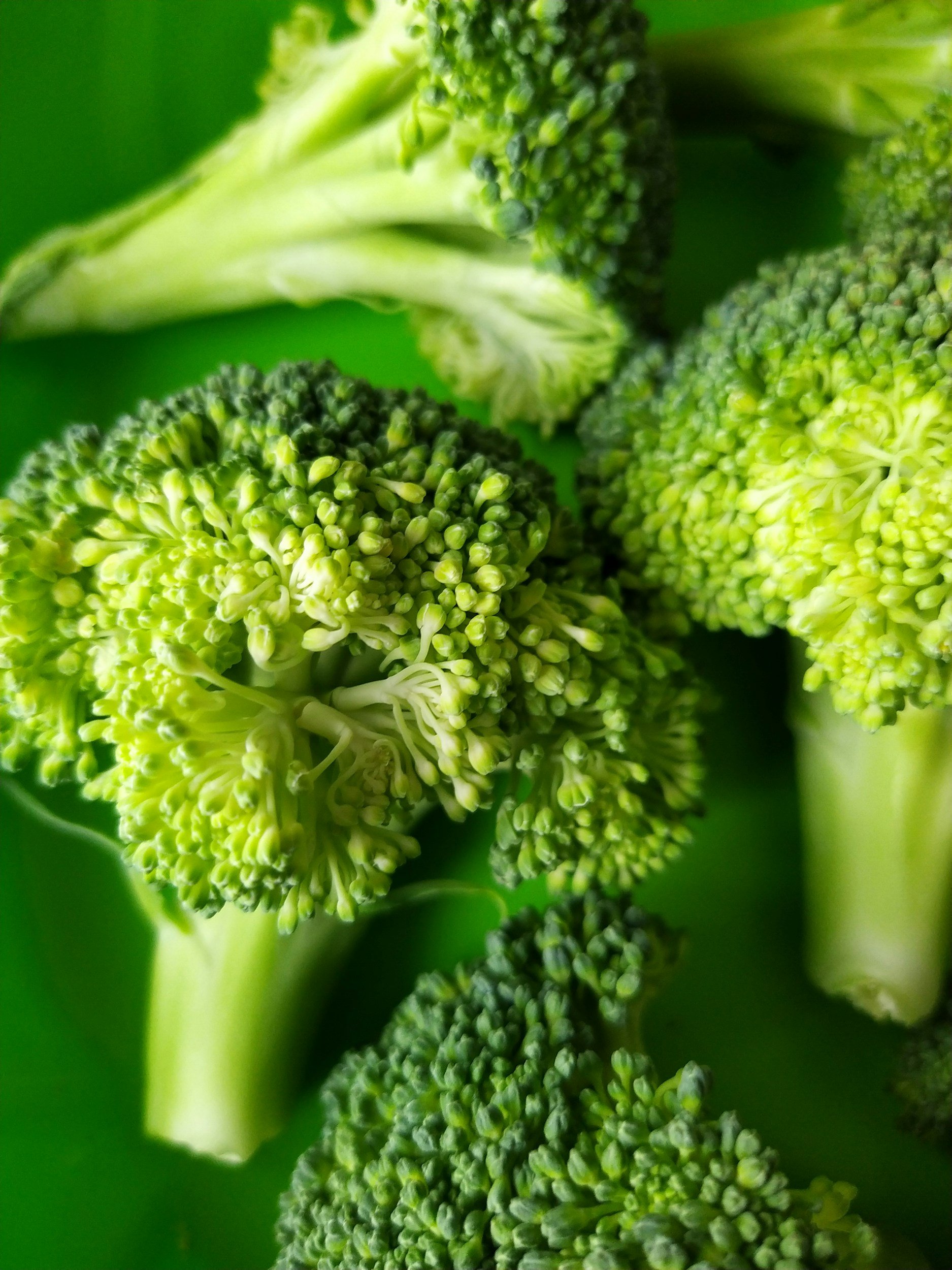 5 Surprising Foods That Help Reverse Fatty Liver Disease