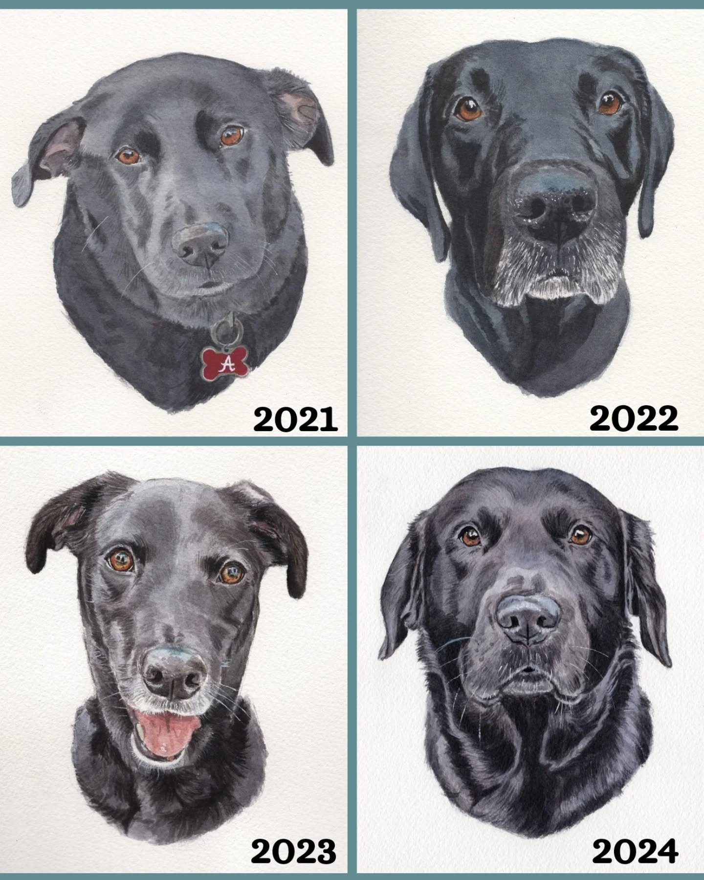 At this point I probably have a thousand pet portraits under my belt. I haven't counted. It might not be that many. But I do sometimes like to look back at old work, and let myself feel a little bit proud of my progress (especially when I've spent a 