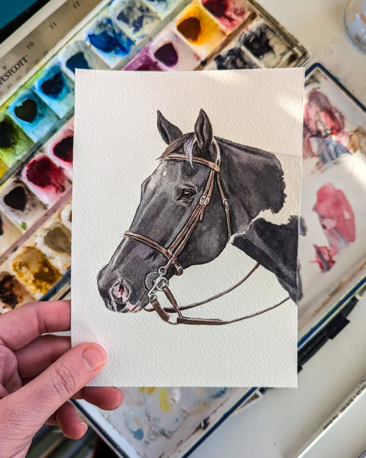 I had the pleasure of painting this beautiful horse for Christmas 🖤 
If you've wondered, I will paint any pet! I've painted horses, guinea pigs, birds, and even a rat. Any creature that is special to you, I'll happily give it a try. Horse portraits 