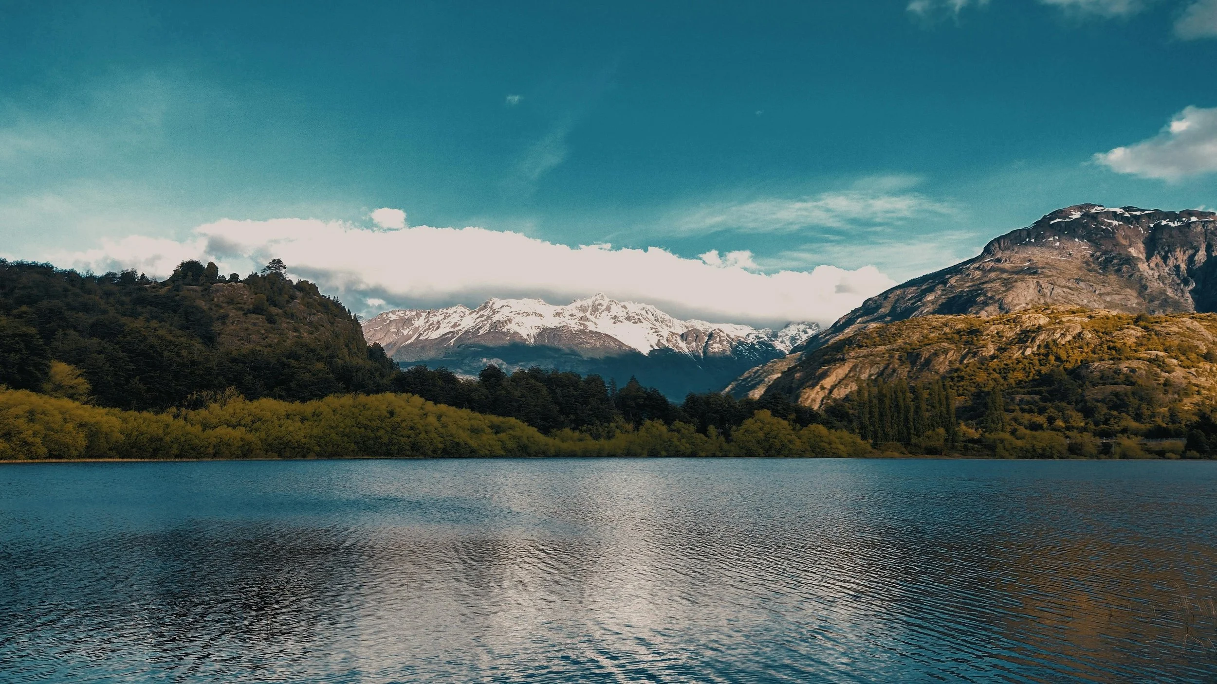 pexels-hiemtempus-14437123.jpg
