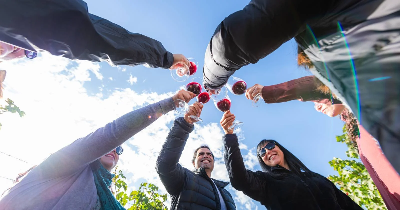 The Chilean wine harvest season continues until May: