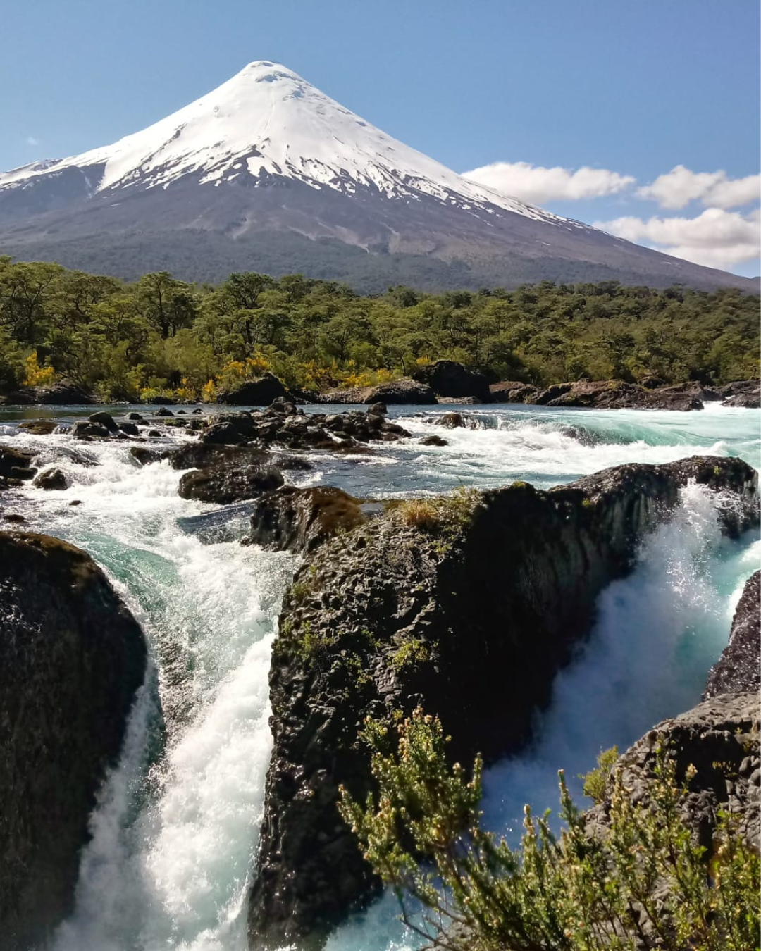 Volcanoes, Fjords &amp; Flavors: 