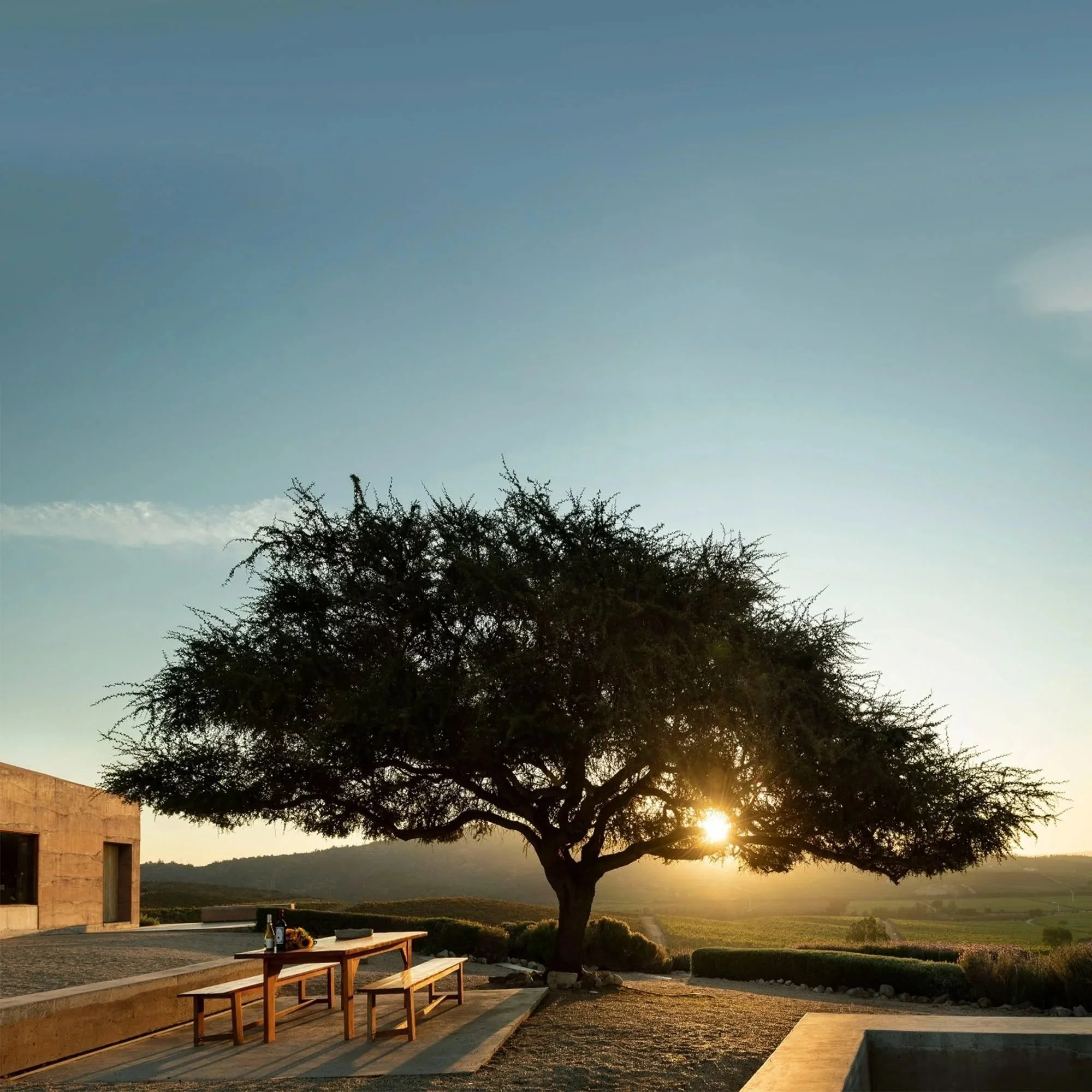 casa+del+bosque_ok4.jpg