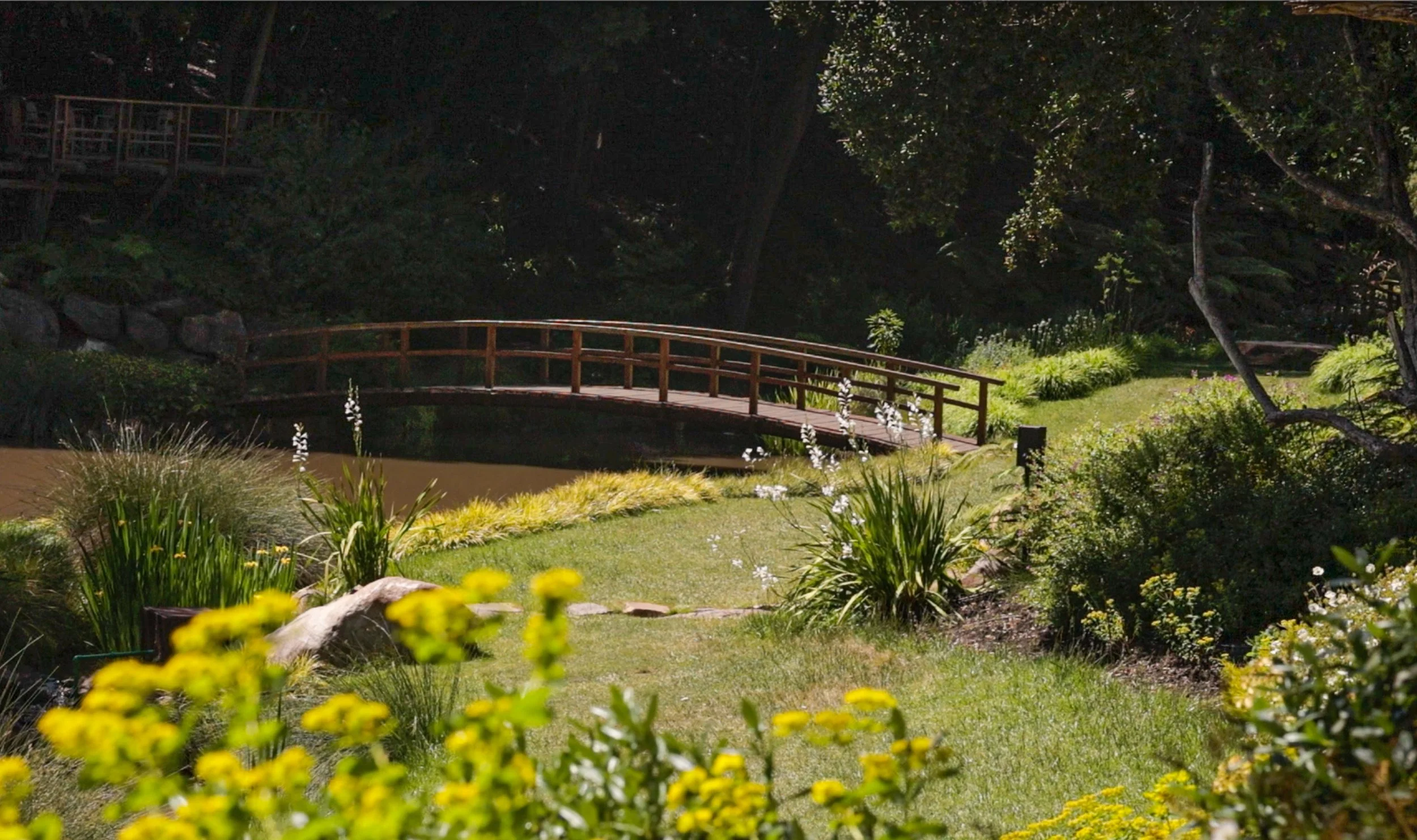 Humedal Giverny 2.jpg