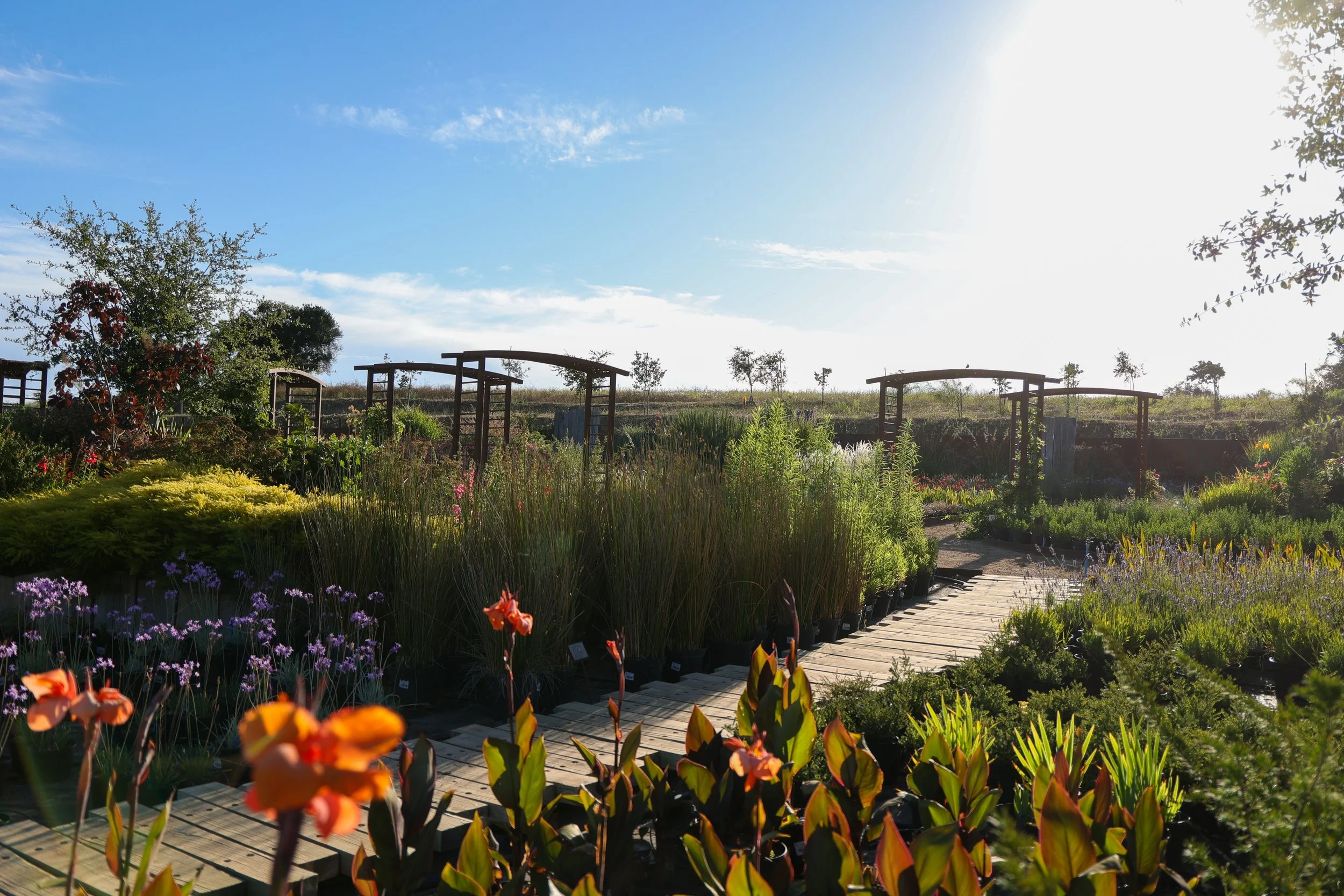 Jardín Botánico 2.JPG