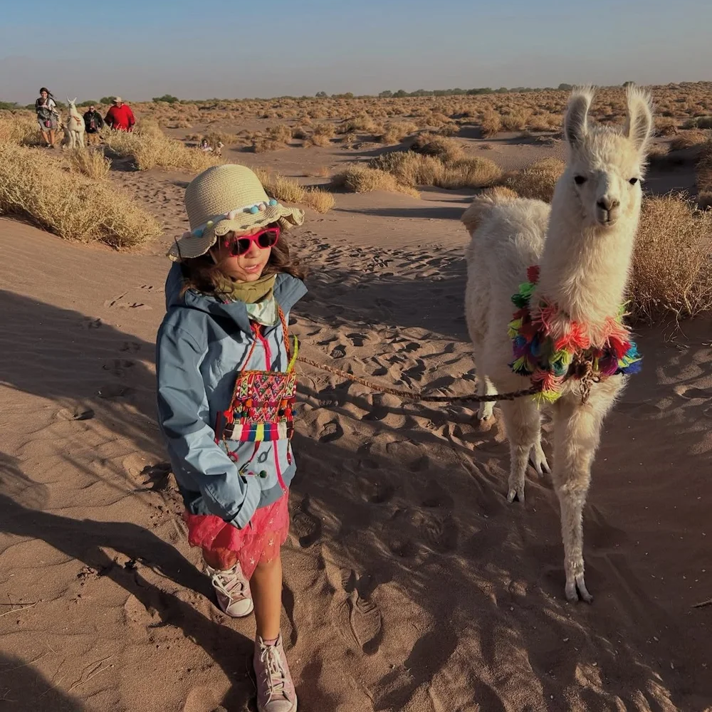 atacama-llama-2.png