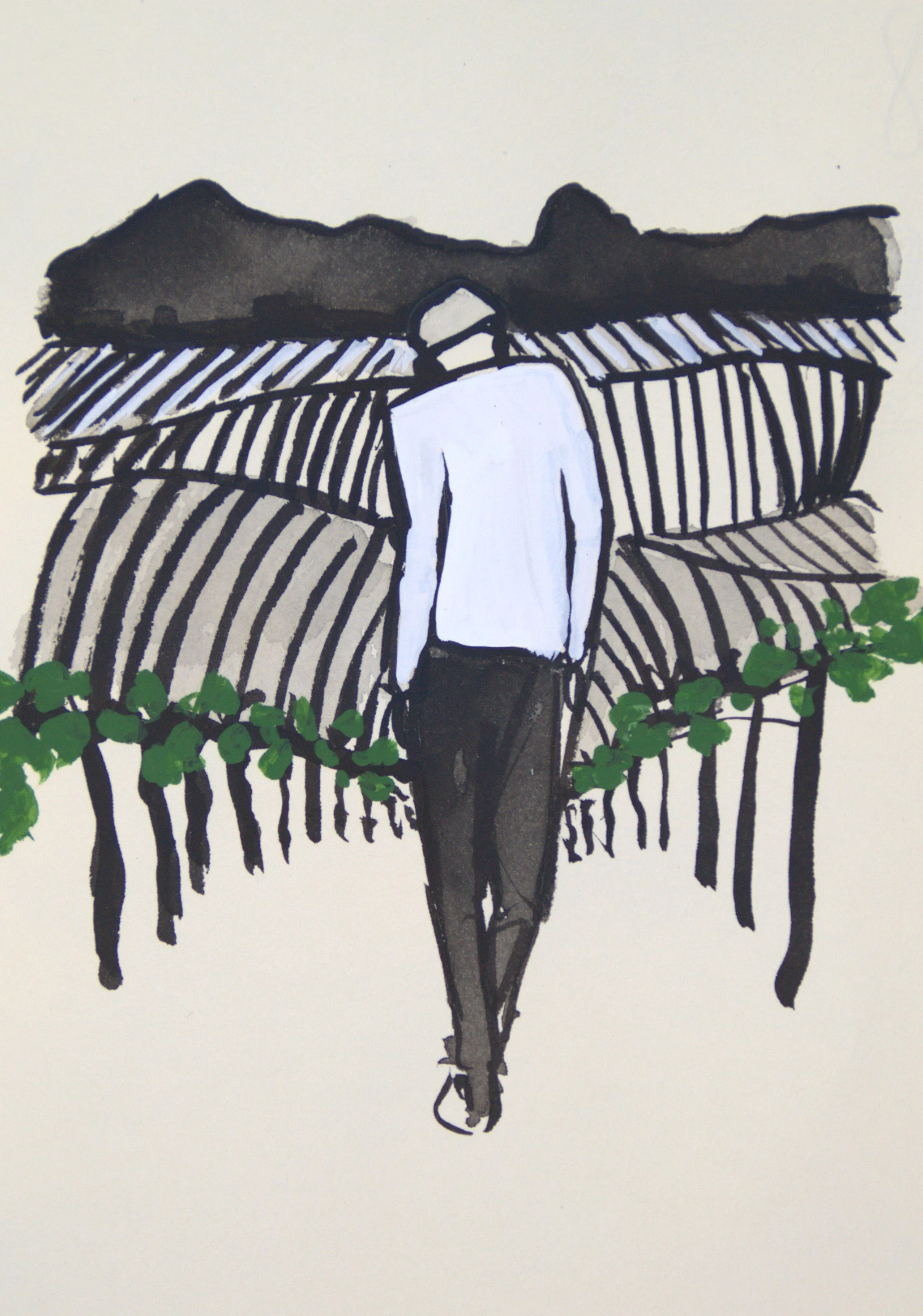 Pancho, Pancho Cellars, 2024
ink and gouache on paper, 9 x 7