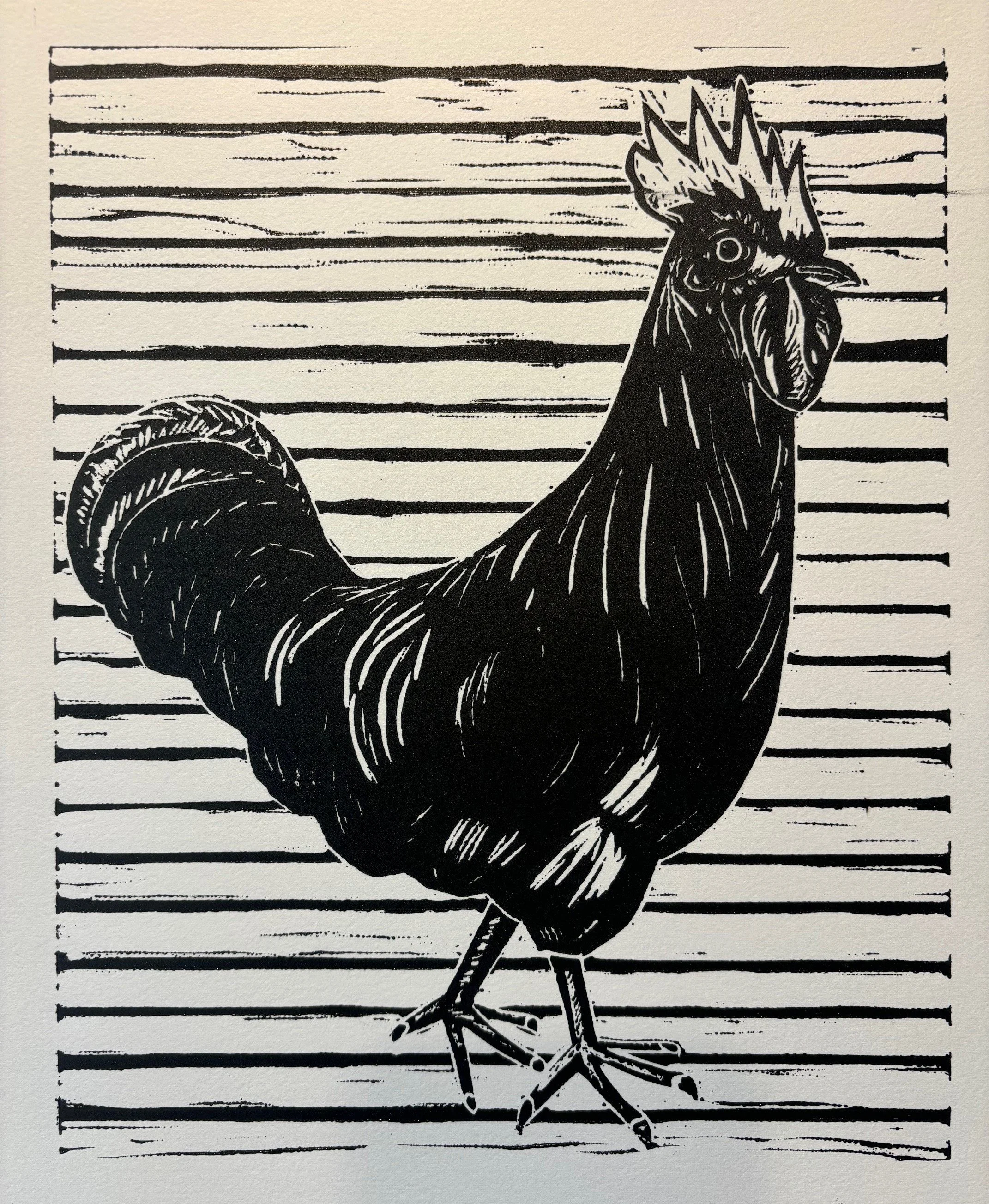 Parker_Hei Hei (2).jpg