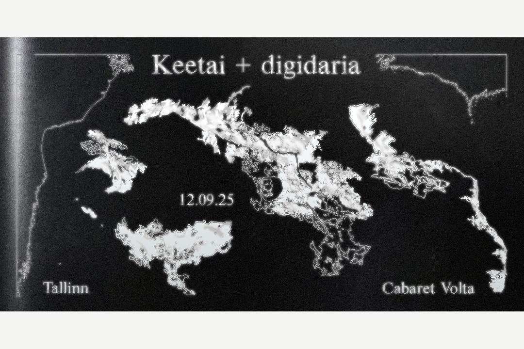 KEETAI +. digidaria / transformative electronic live