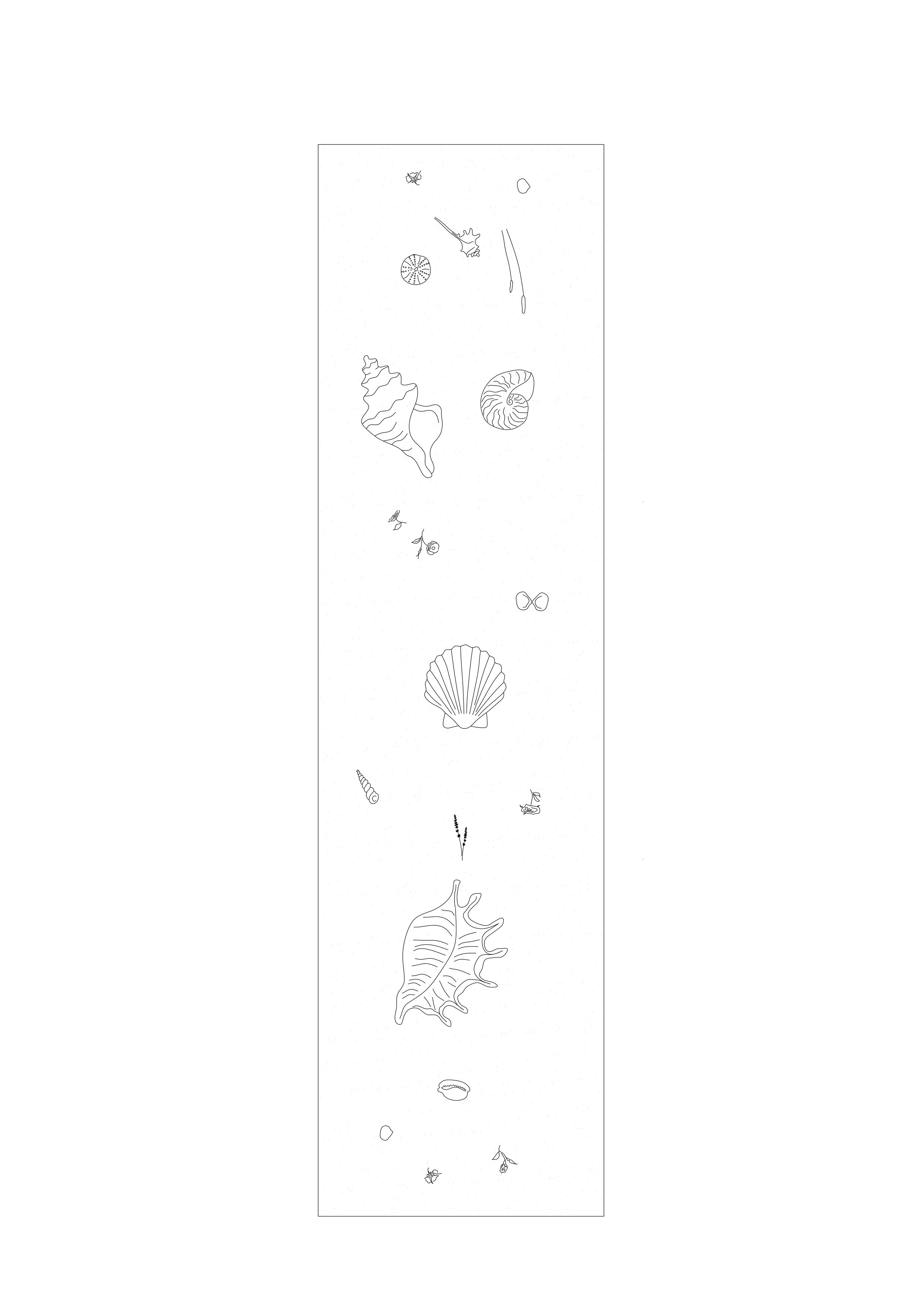 botticelli shells.jpg