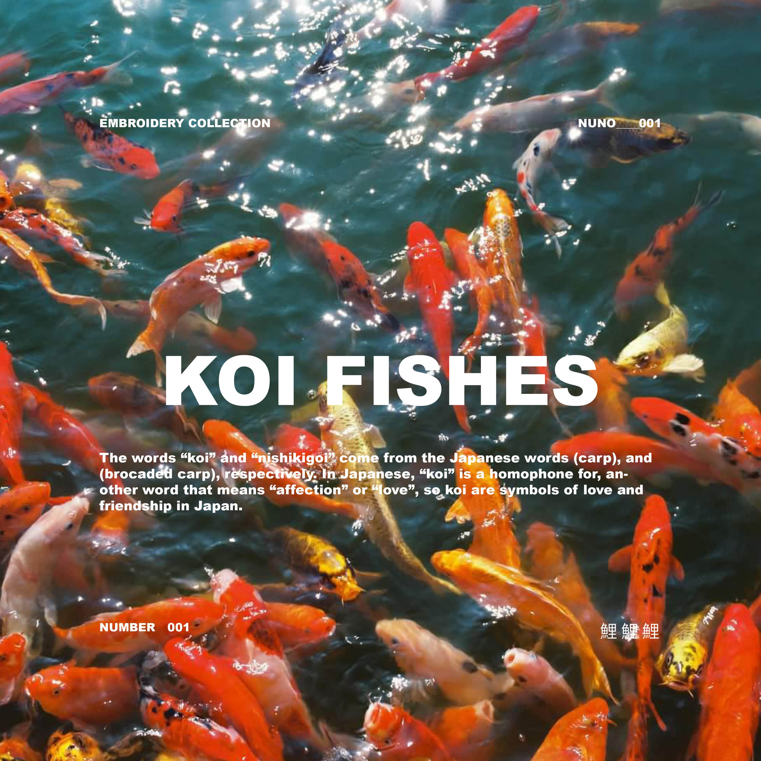 NUNO_POST_001_KOI.jpg