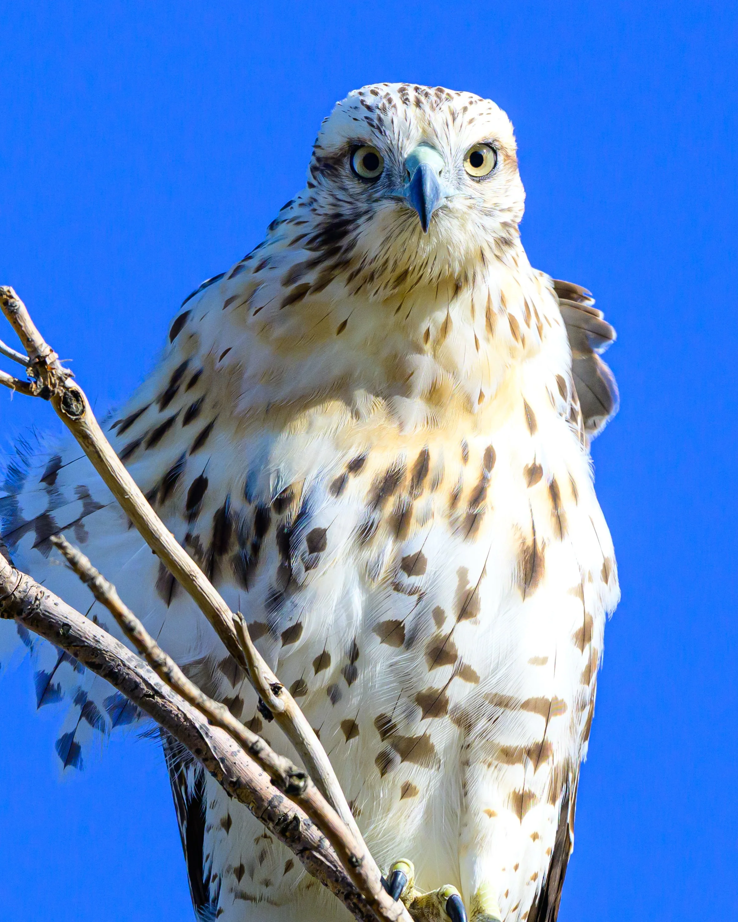DSC_2574.jpg