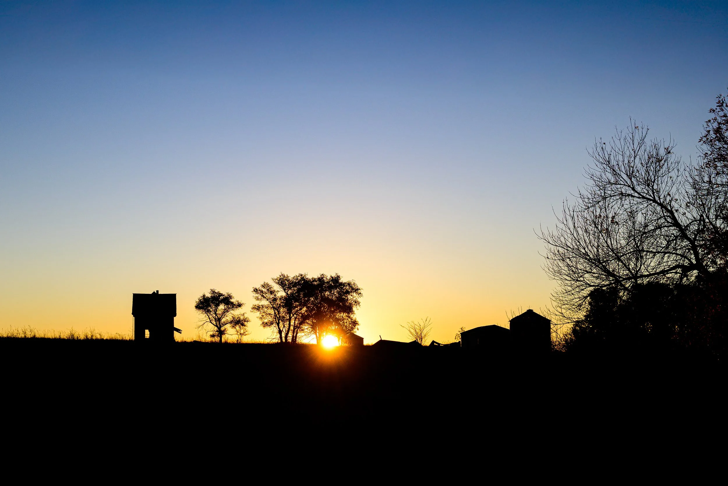 DSC_3240-Edit-Edit.jpg