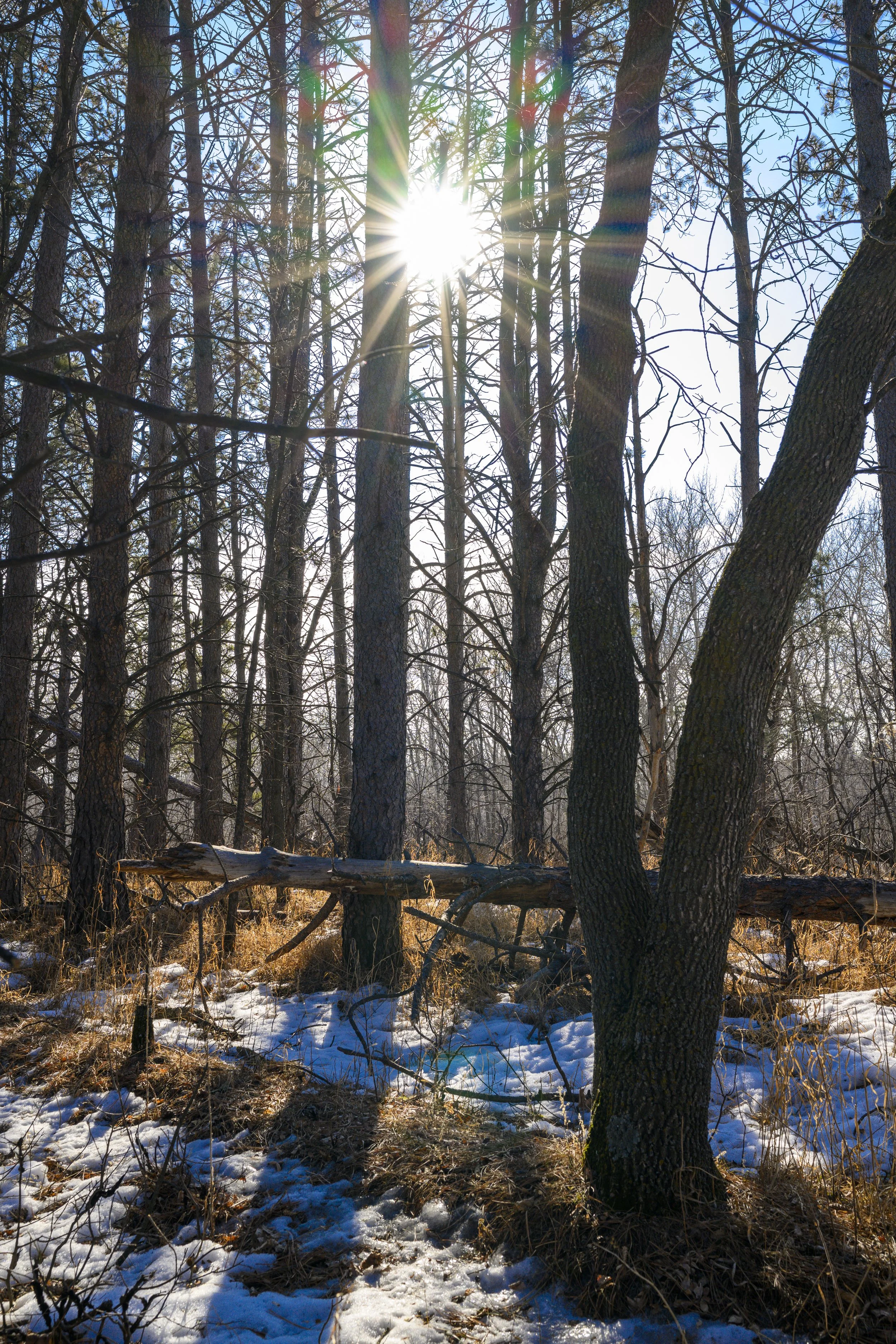 DSC_5453.jpg