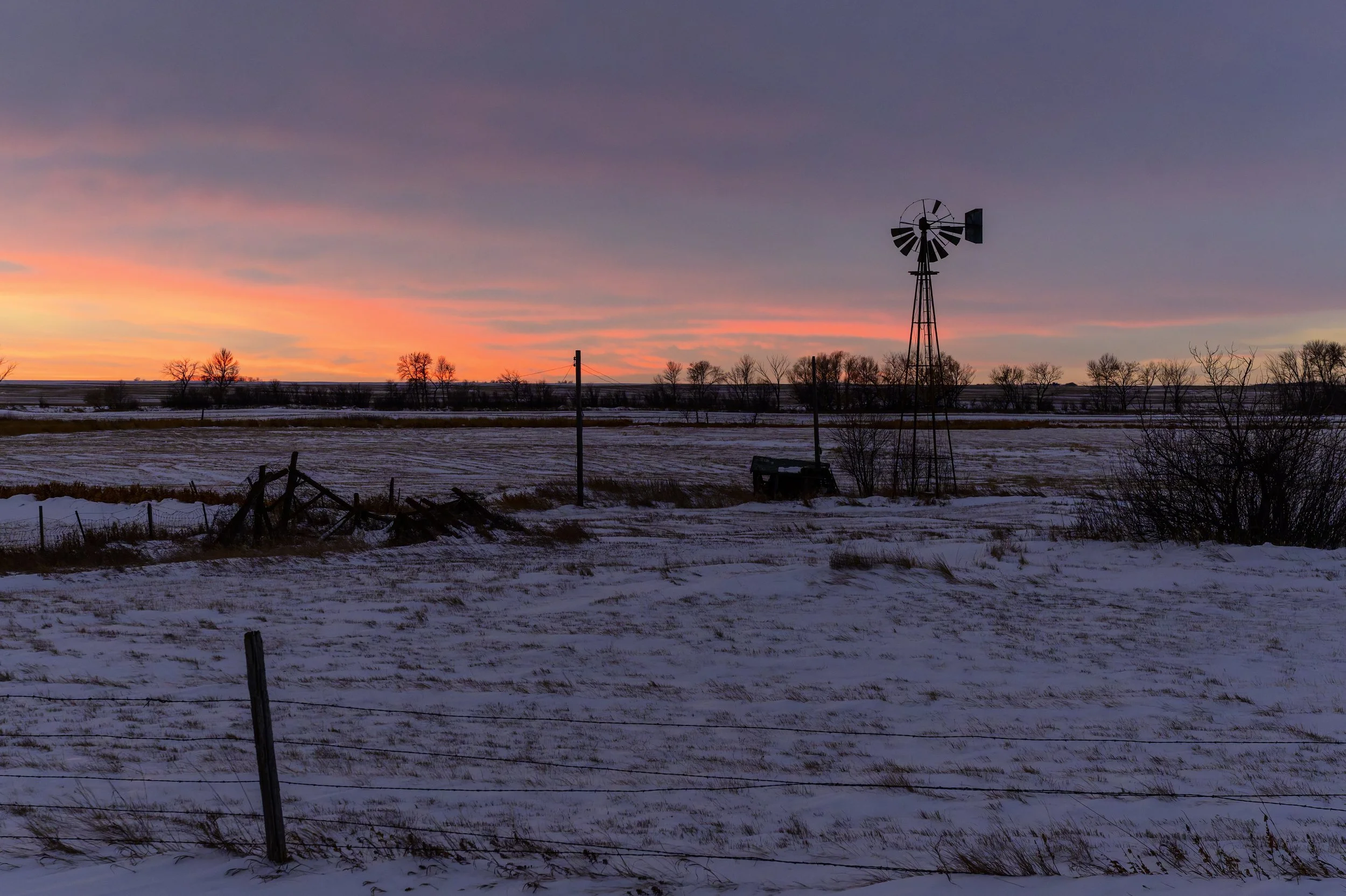 DSC_0563-DxO_DeepPRIME 3-Edit.jpg