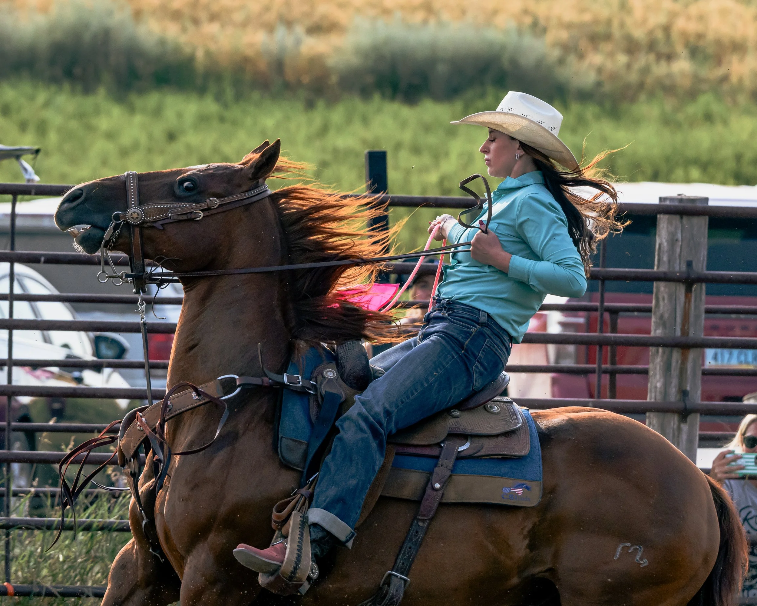 DSC_0085-Edit-Edit.jpg