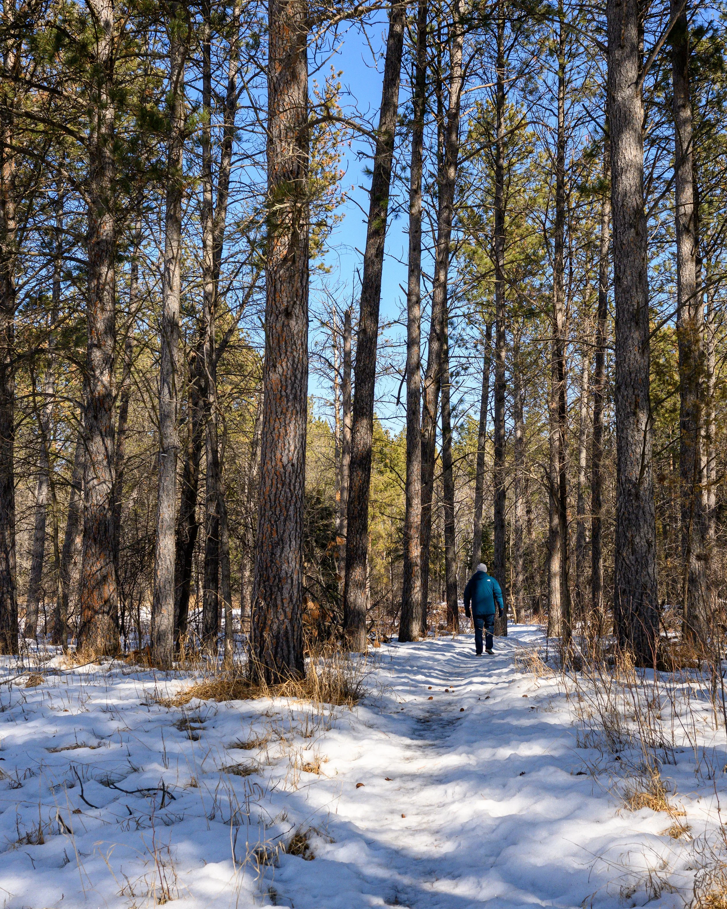 DSC_5486-Edit.jpg