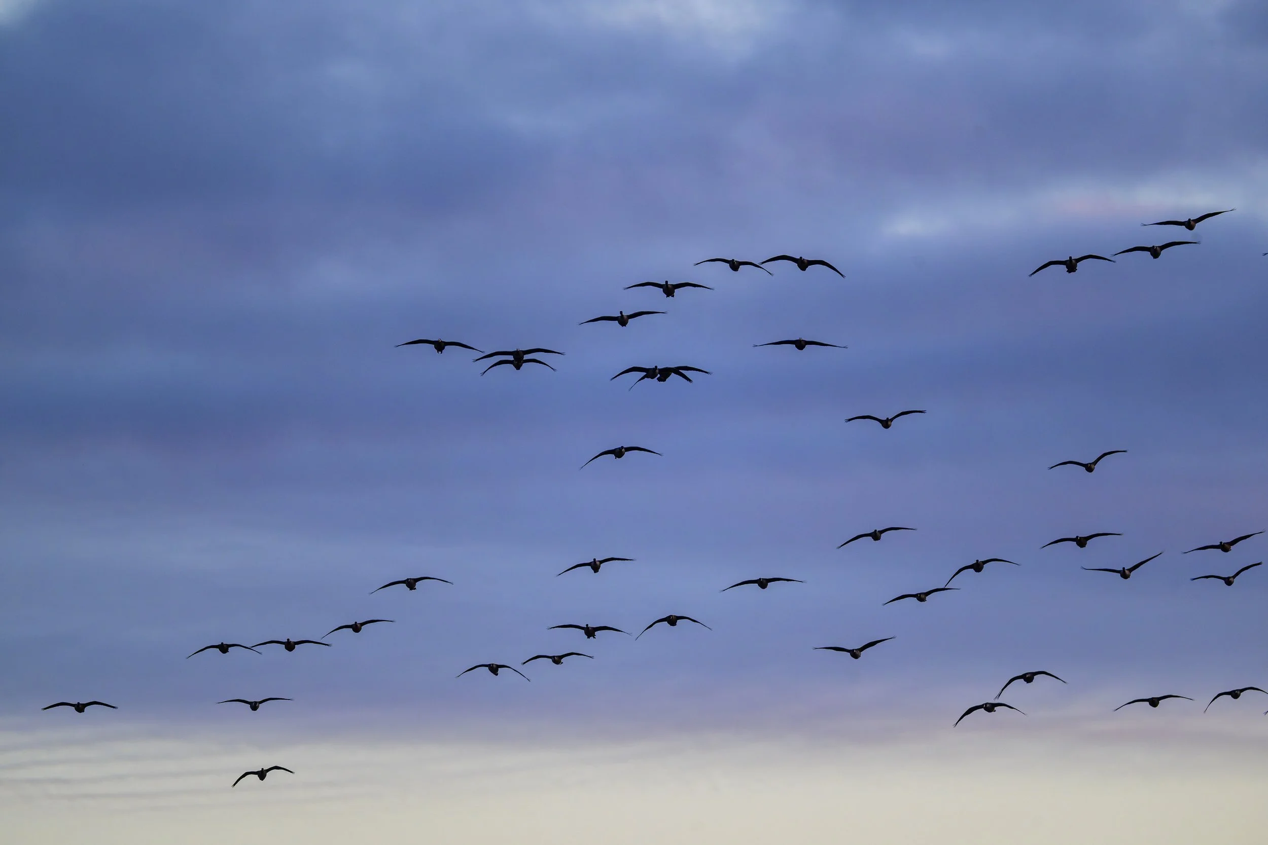 DSC_2725-DxO_DeepPRIME 3.jpg