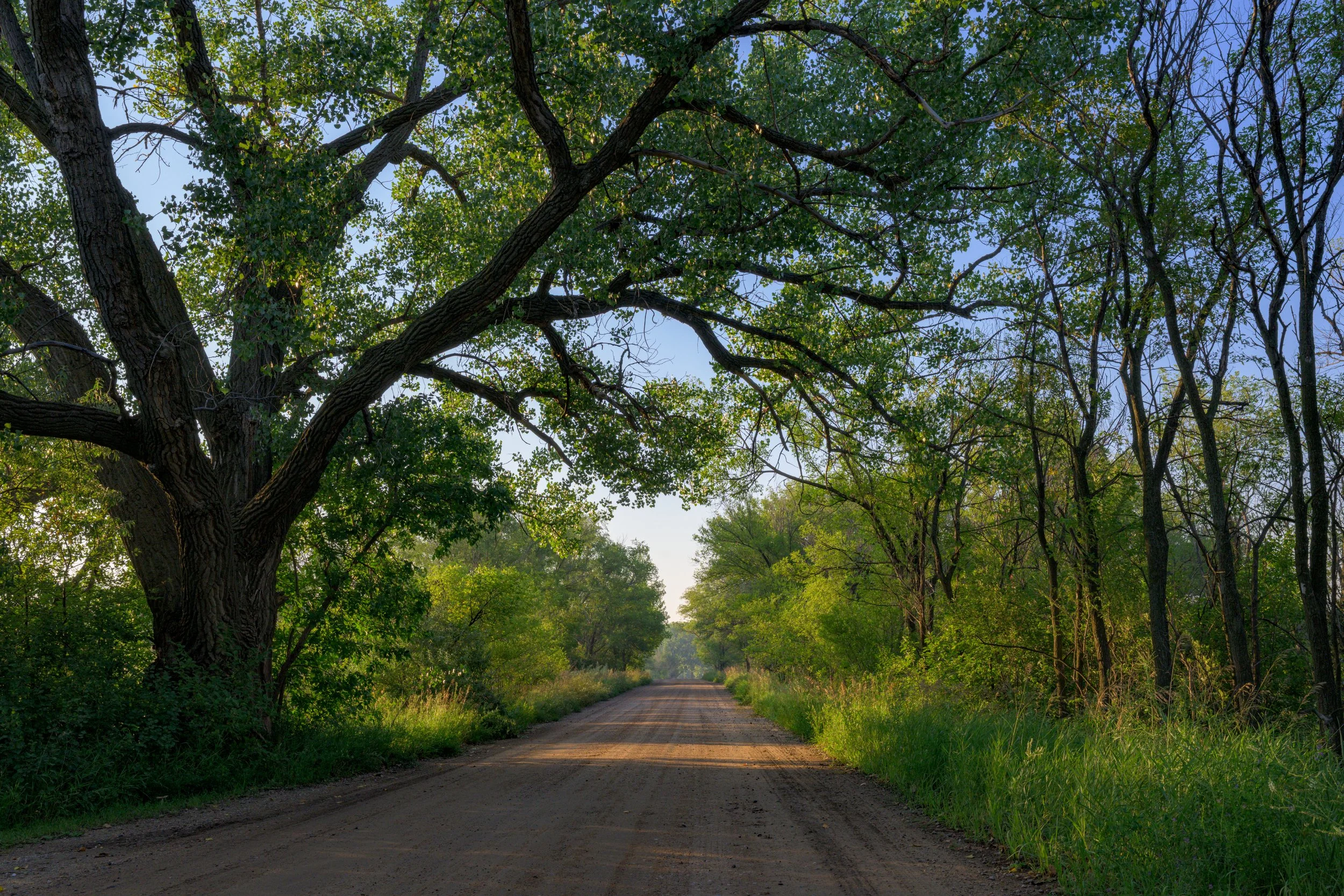 DSC_5799.jpg