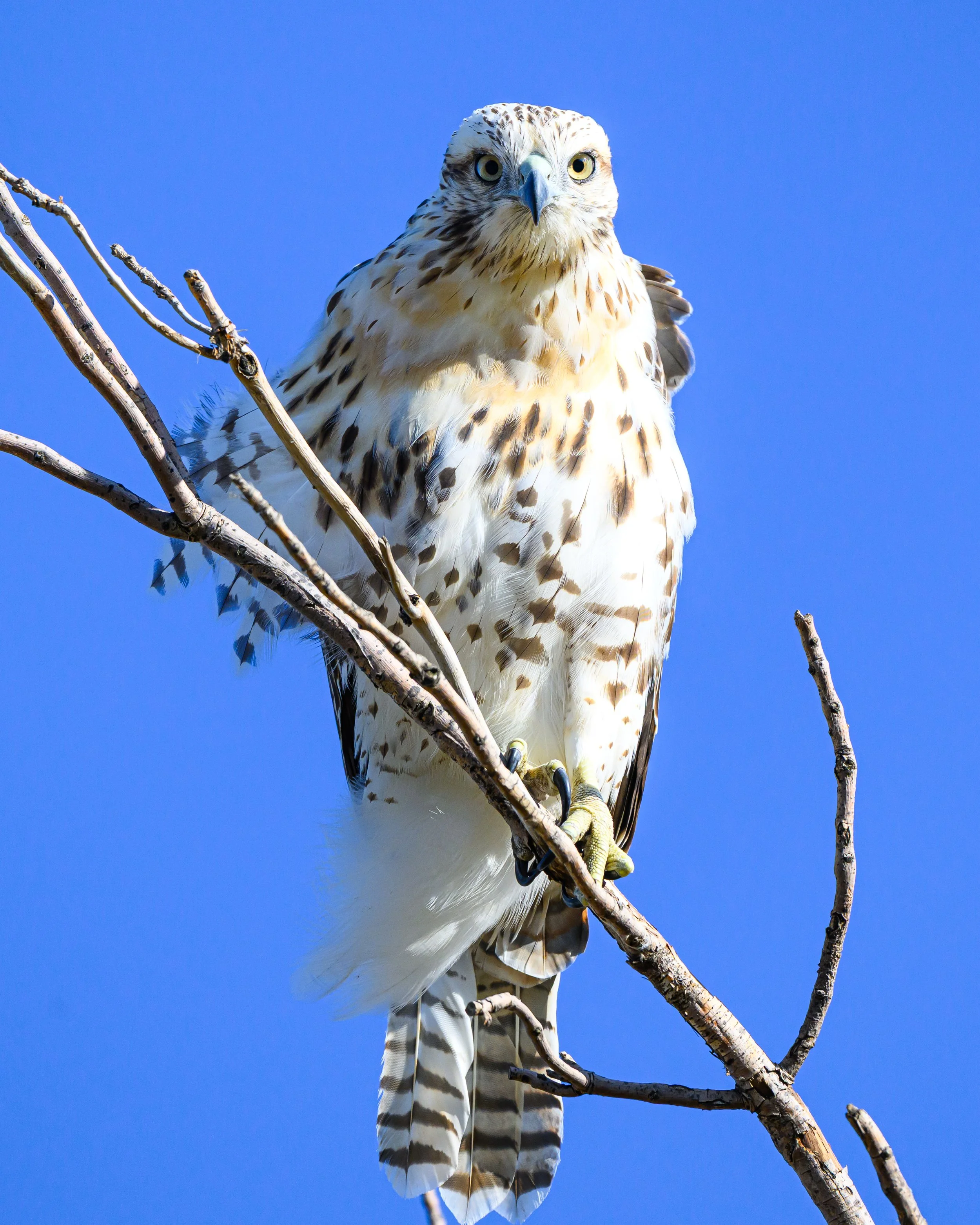 DSC_2574-Edit.jpg