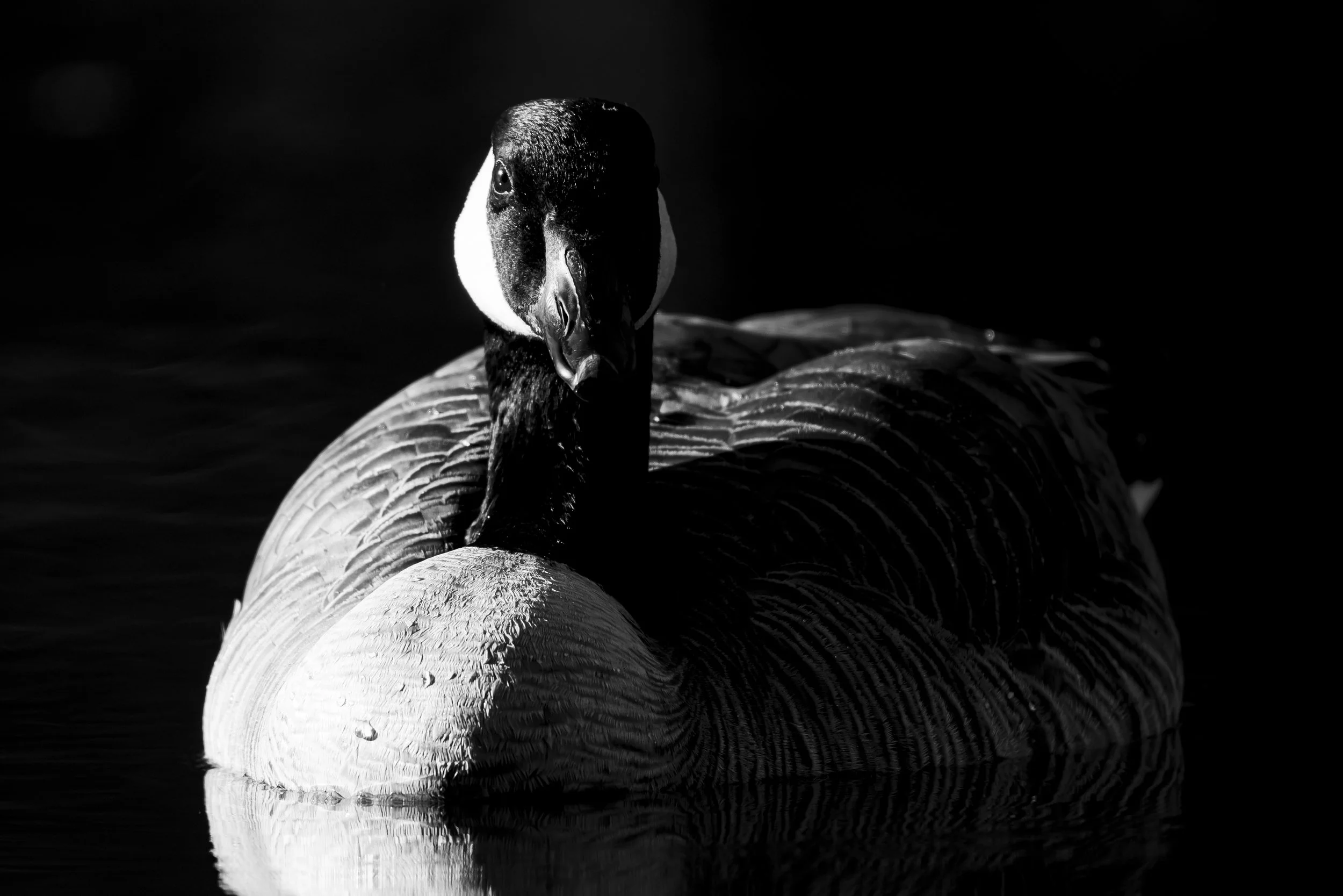DSC_0875-Edit.jpg