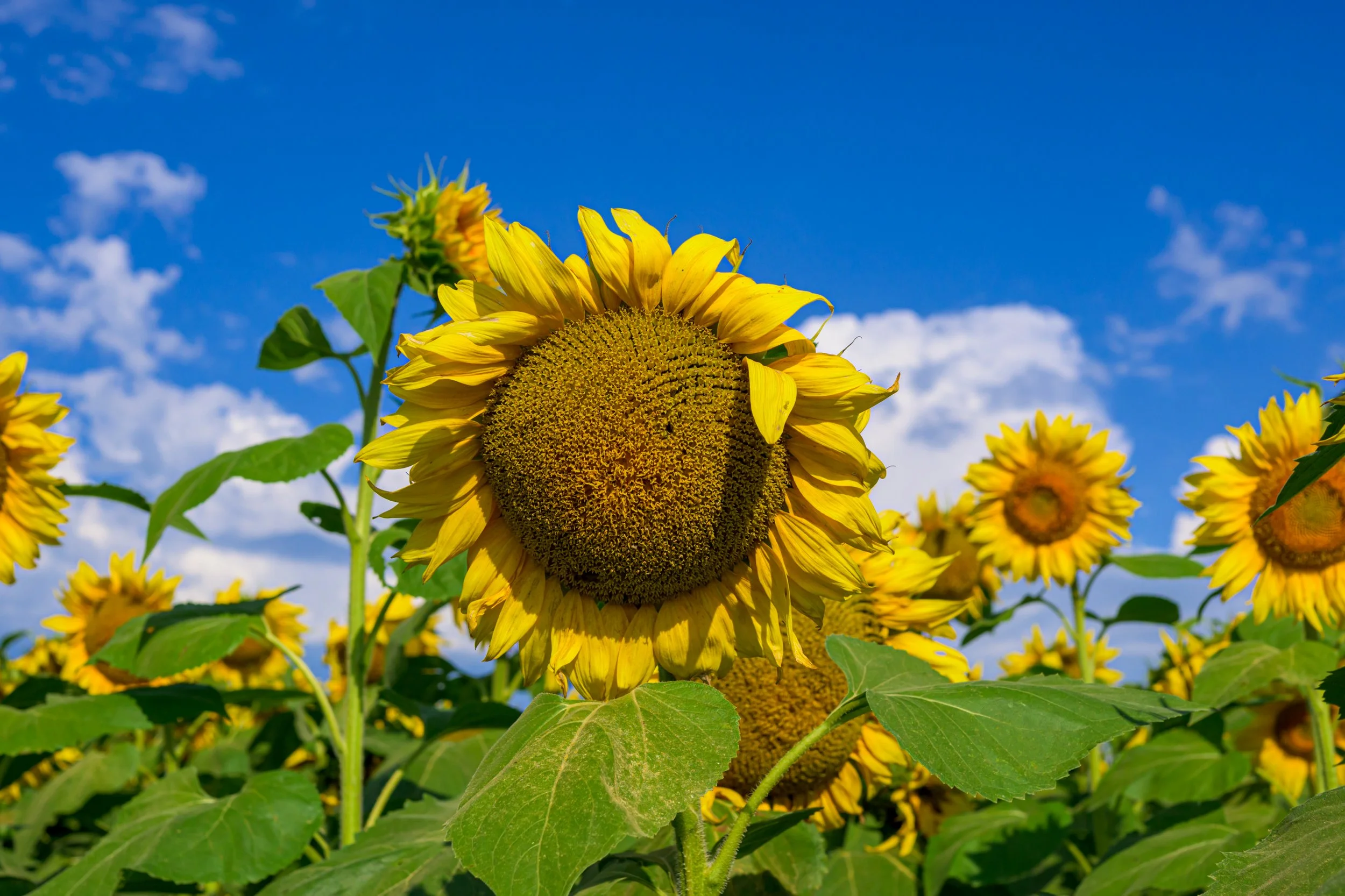 DSC_0317-Edit.jpg
