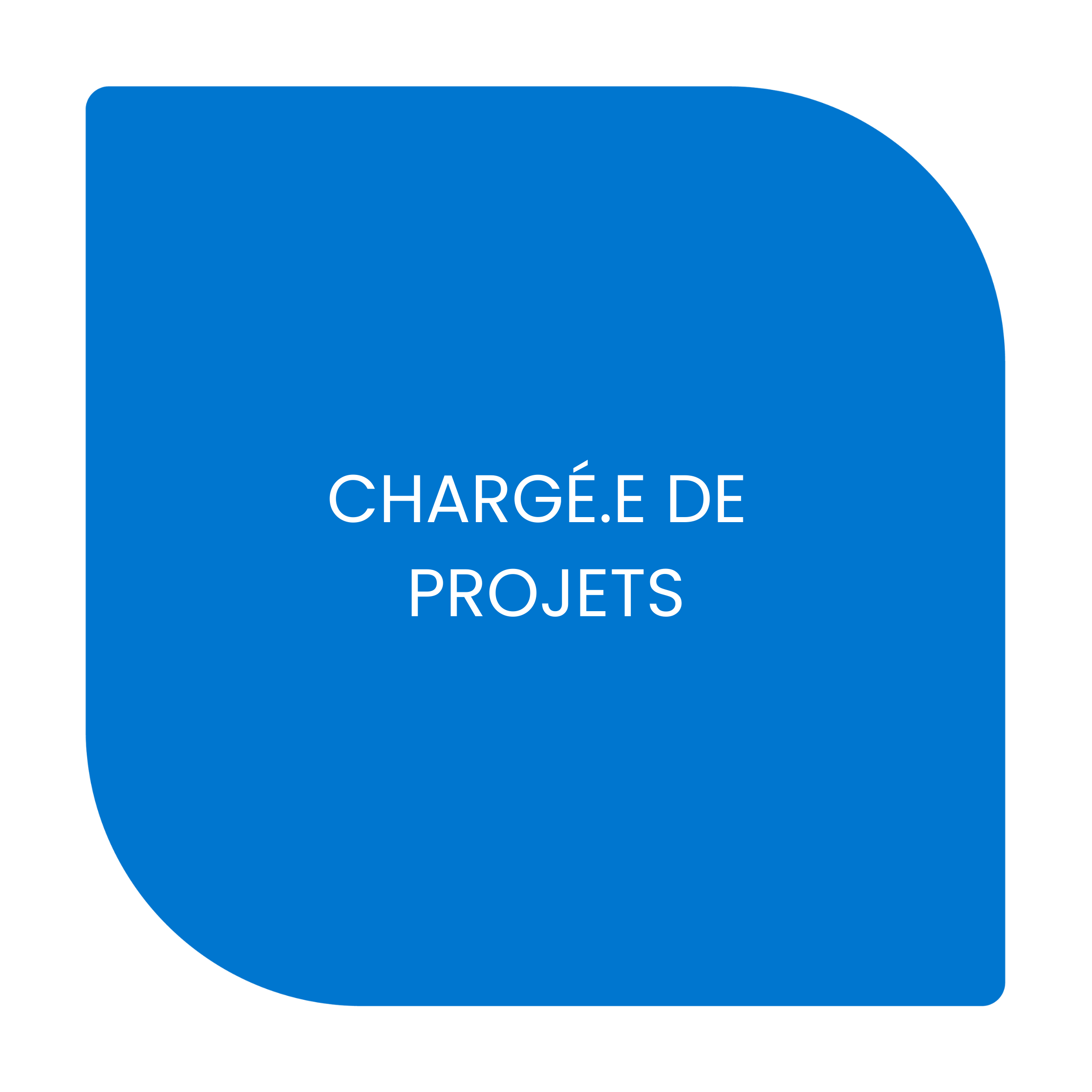 chargee de projet.png