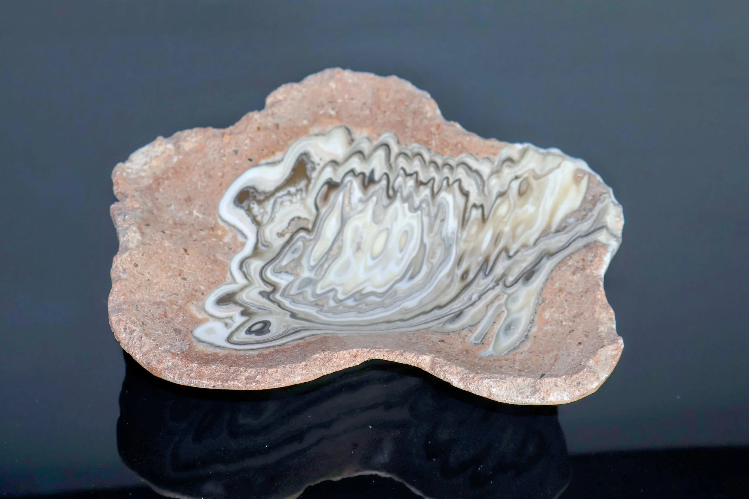zebra onyx decorative bowl