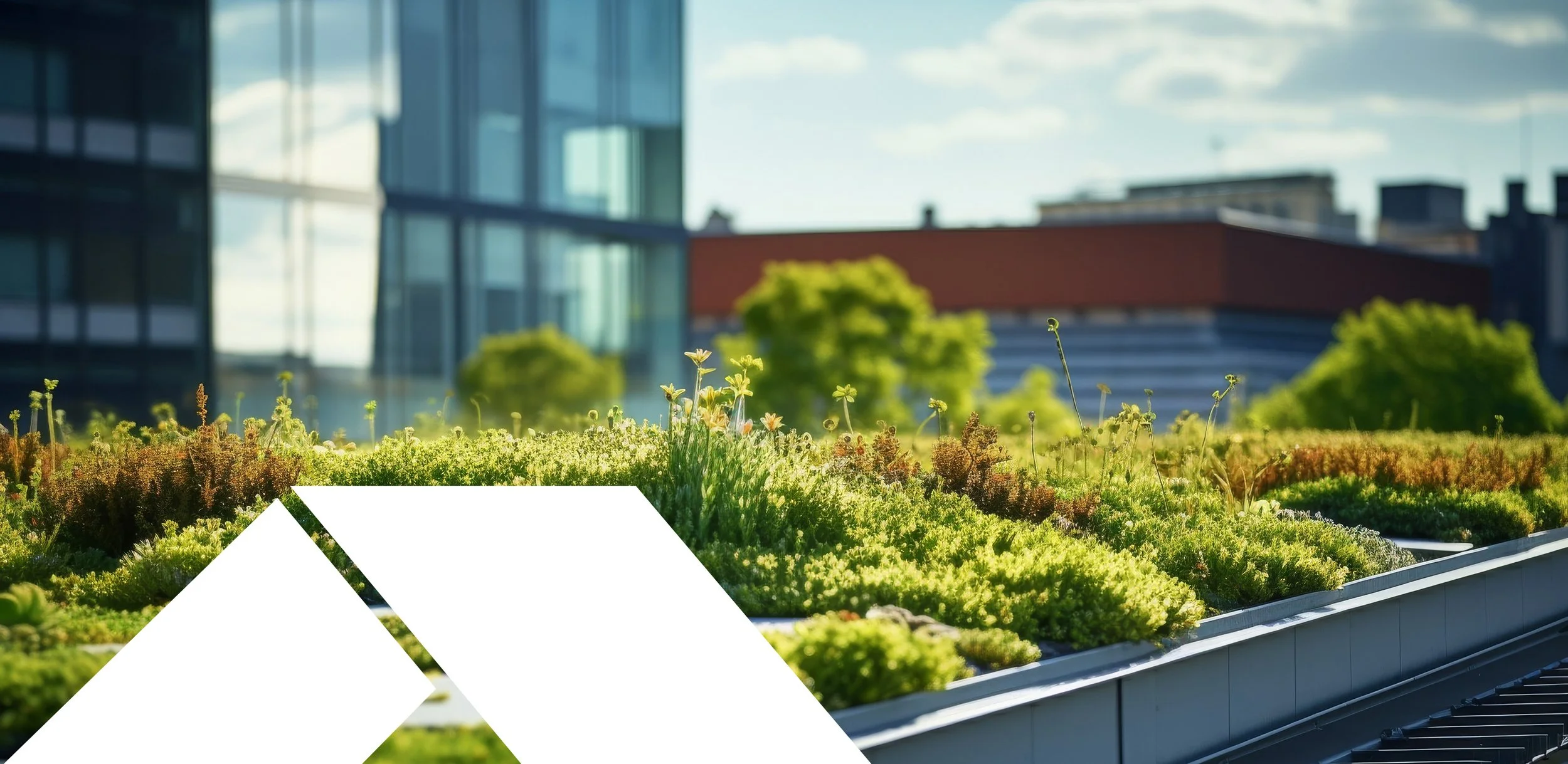 Lush green rooftop garden with wildflowers and modern city buildings in the background