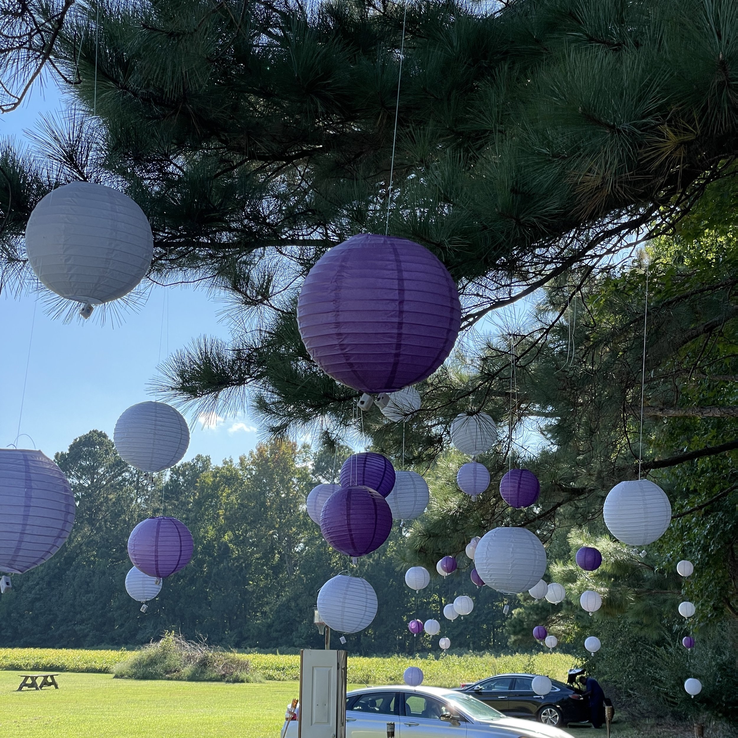 Shades of Purple and White Lanterns that light up at night