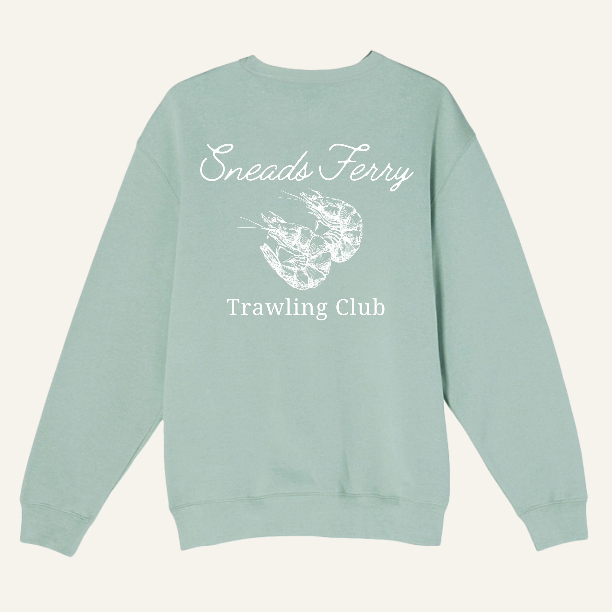 Sneads Ferry Design SF b.png