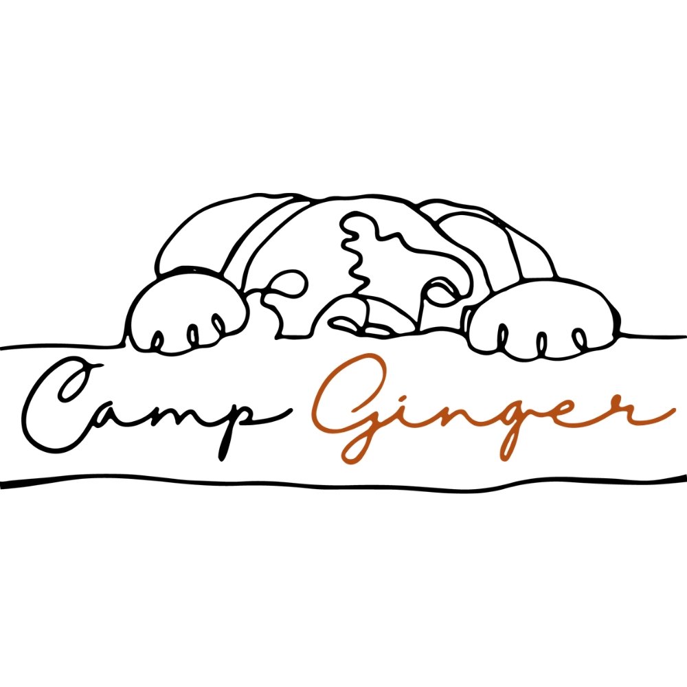 Camp Ginger Logo, 2025