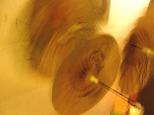 Twirling, The Globe Coffee Lounge, St. Petersburg, FL, 2008