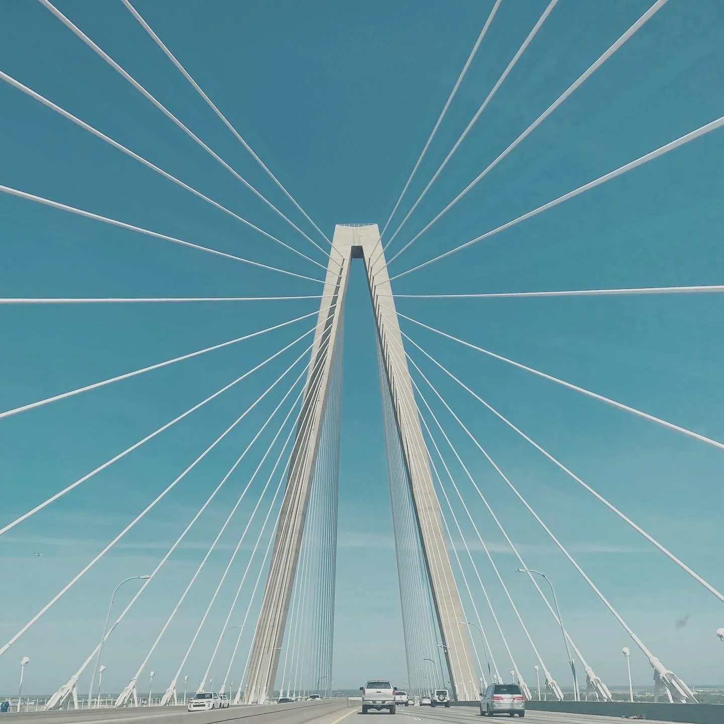 Threads of the Sky, Charleston Bridge, 2021