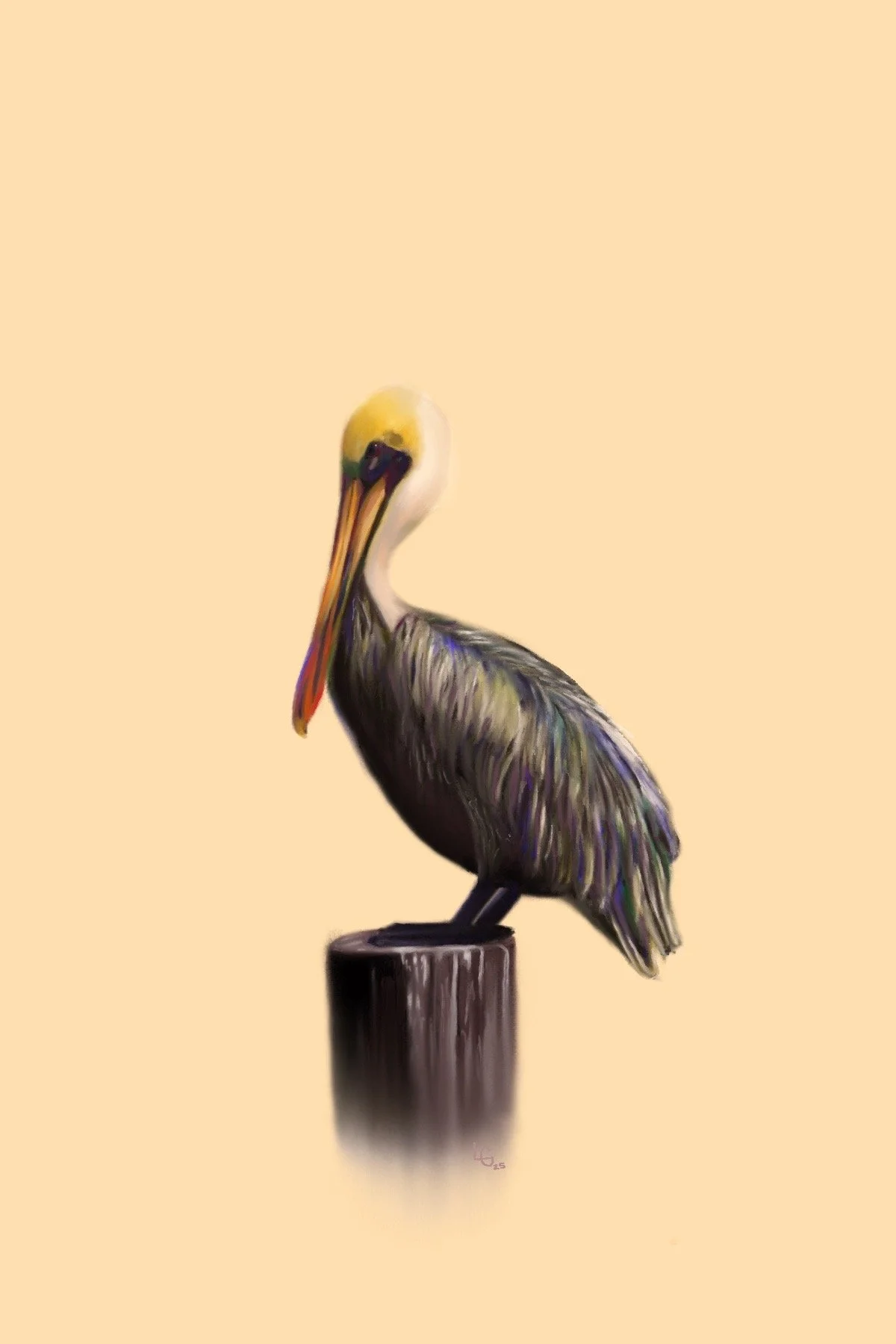 Pelican | Digital Art Card