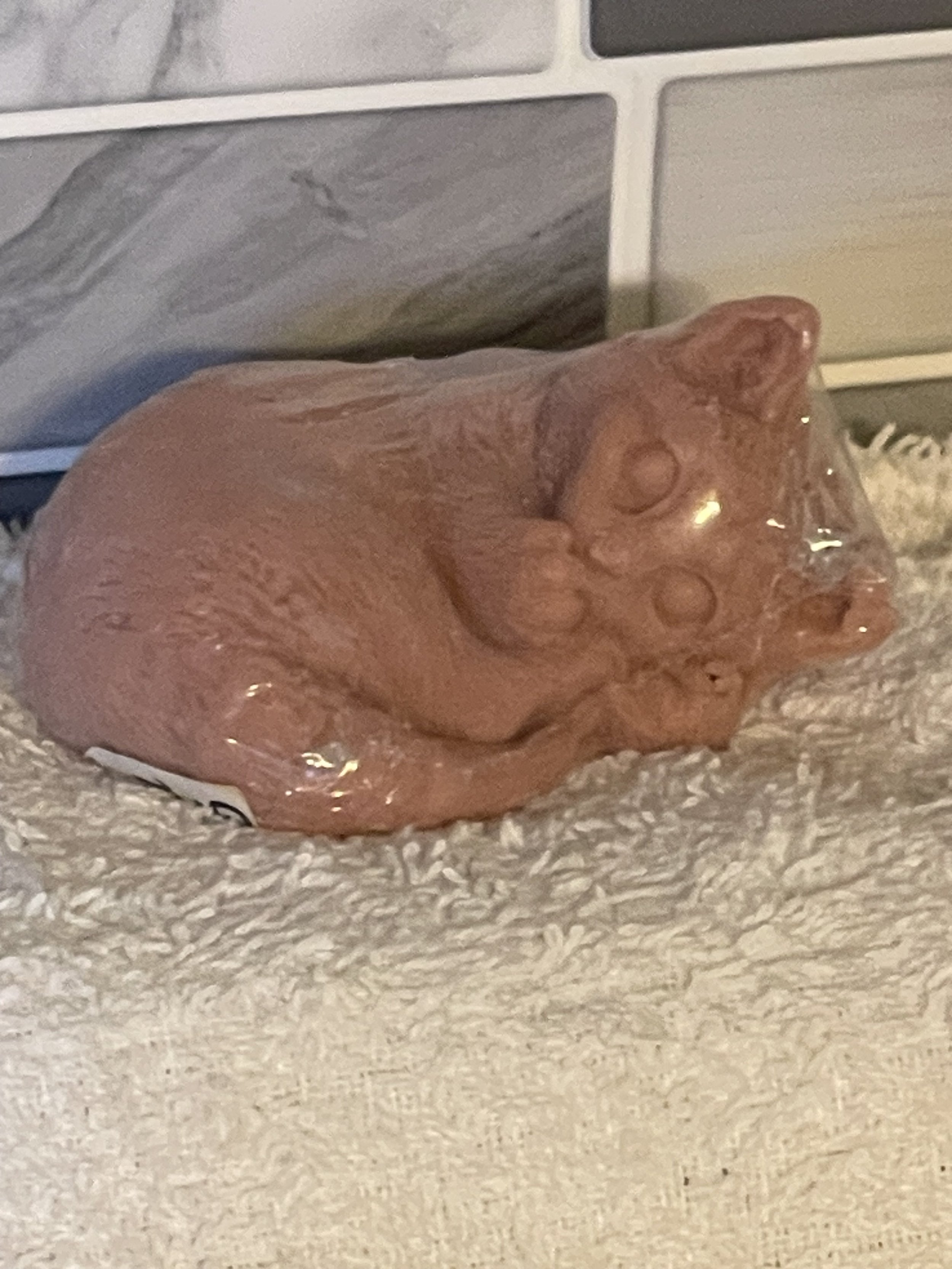 IMG_0357.jpeg