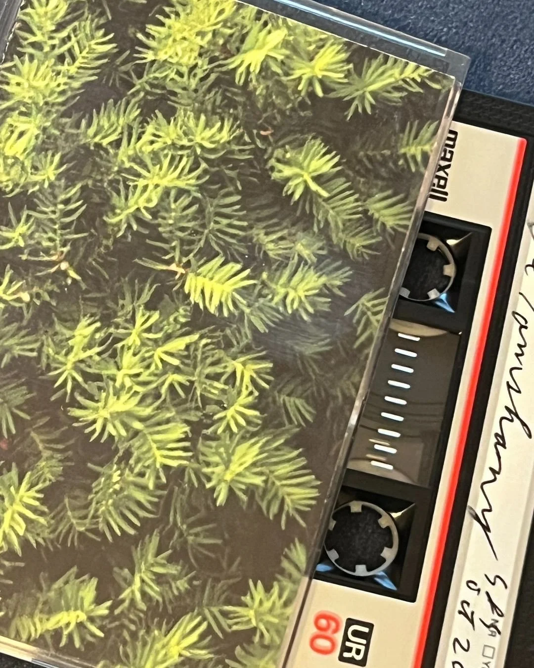 ๐ธ Just a couple more mixtapes to roll out in @soundandsolidaritytulsa’s auction to support the incarcerated artists that @justarts_gallery partners with. Next up is Tulsa composer/musician @petertomshany with “It’s Yew!,” a m