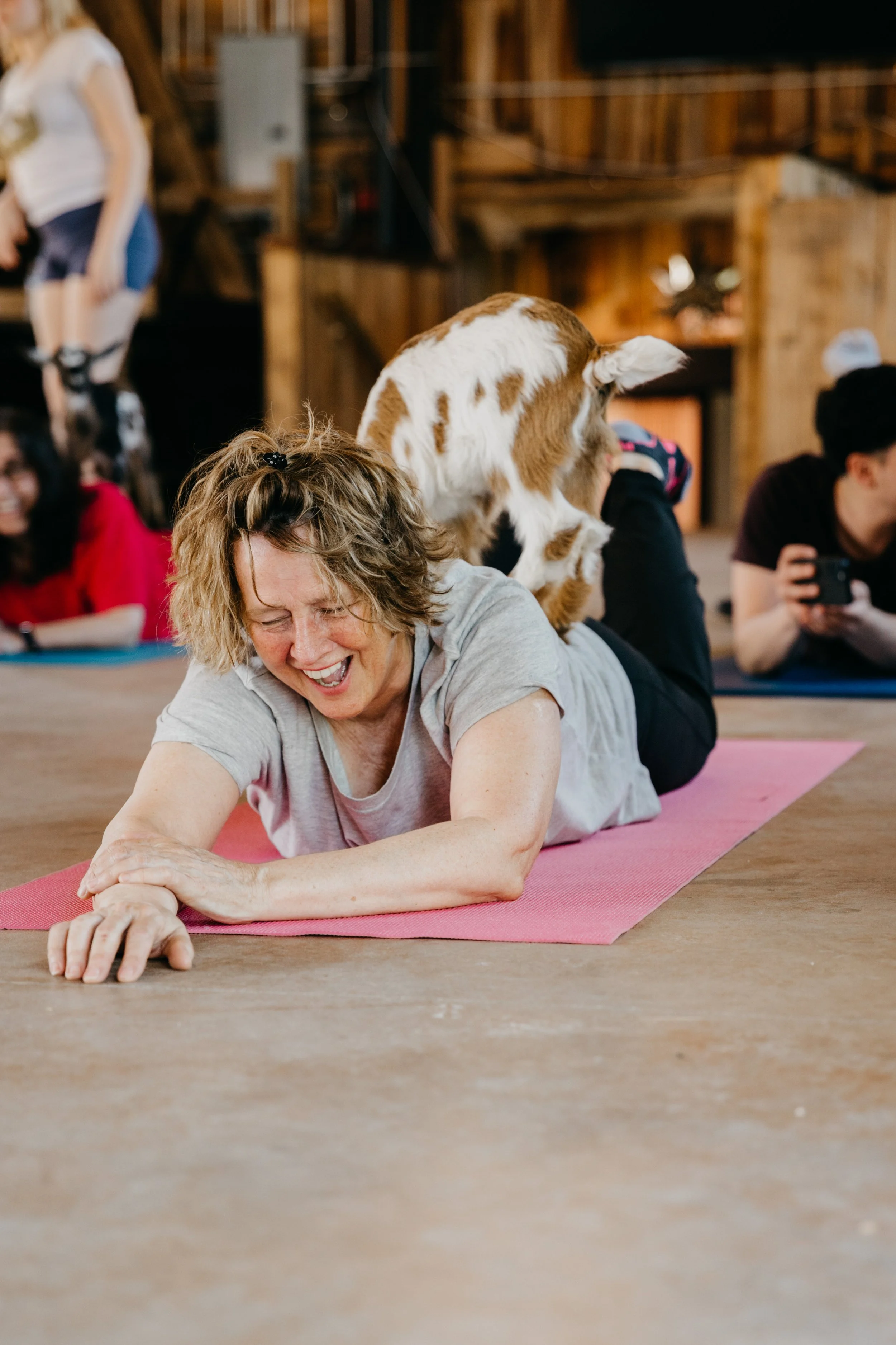 How Goat Yoga Combines Mindfulness &amp; Laughter