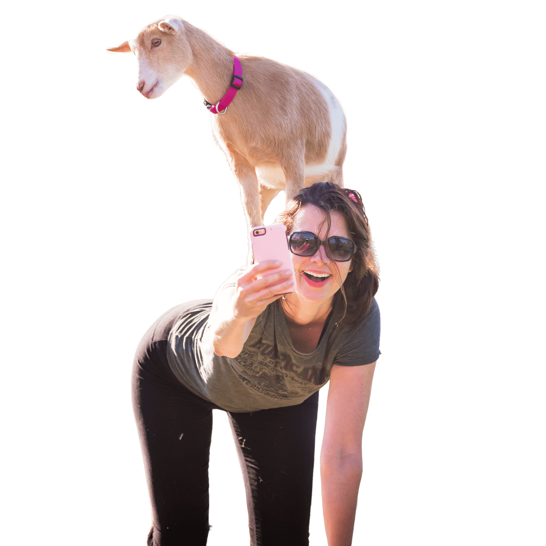 NY+Goat+Yoga+-+header+image.png