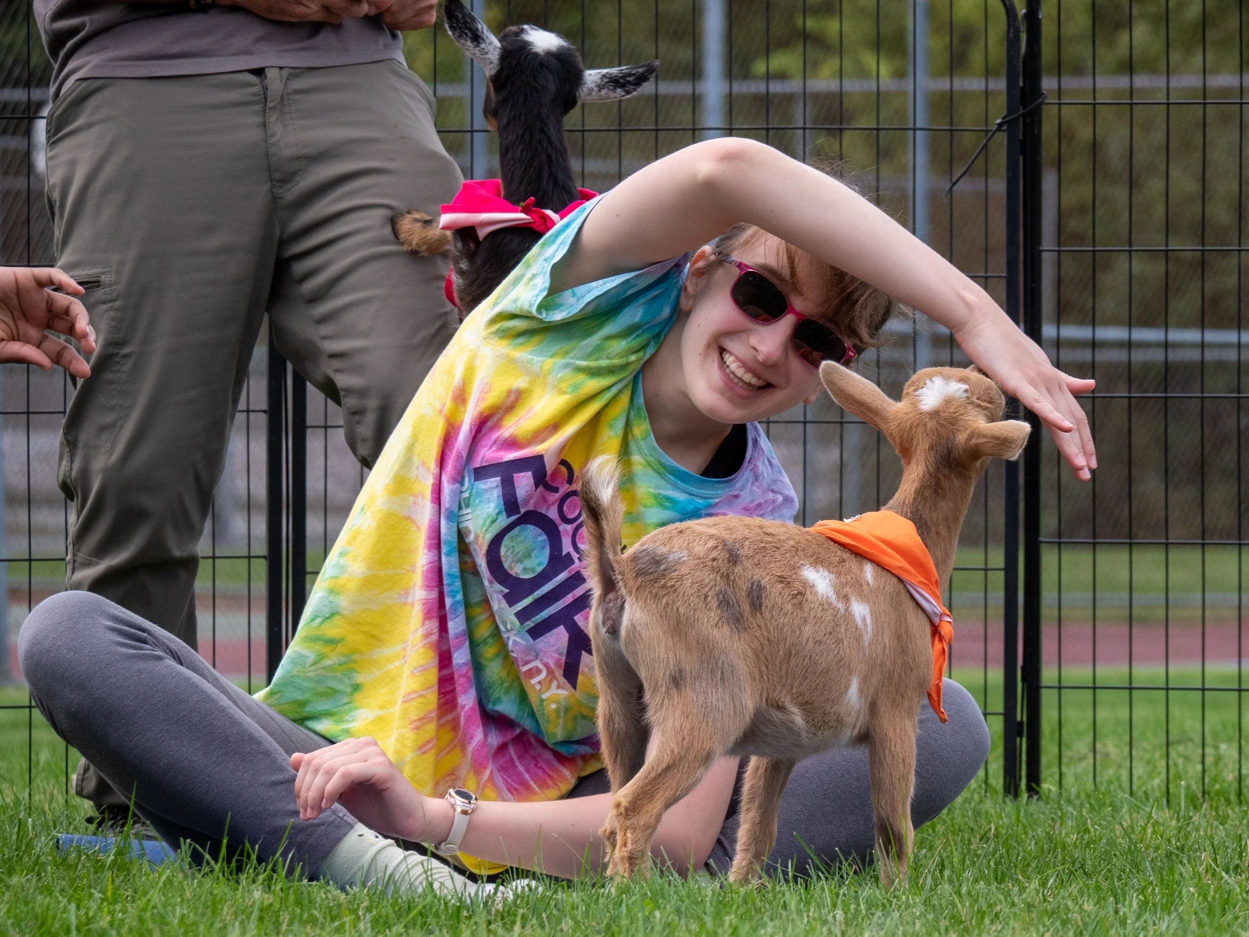 Is Goat Yoga Ethical