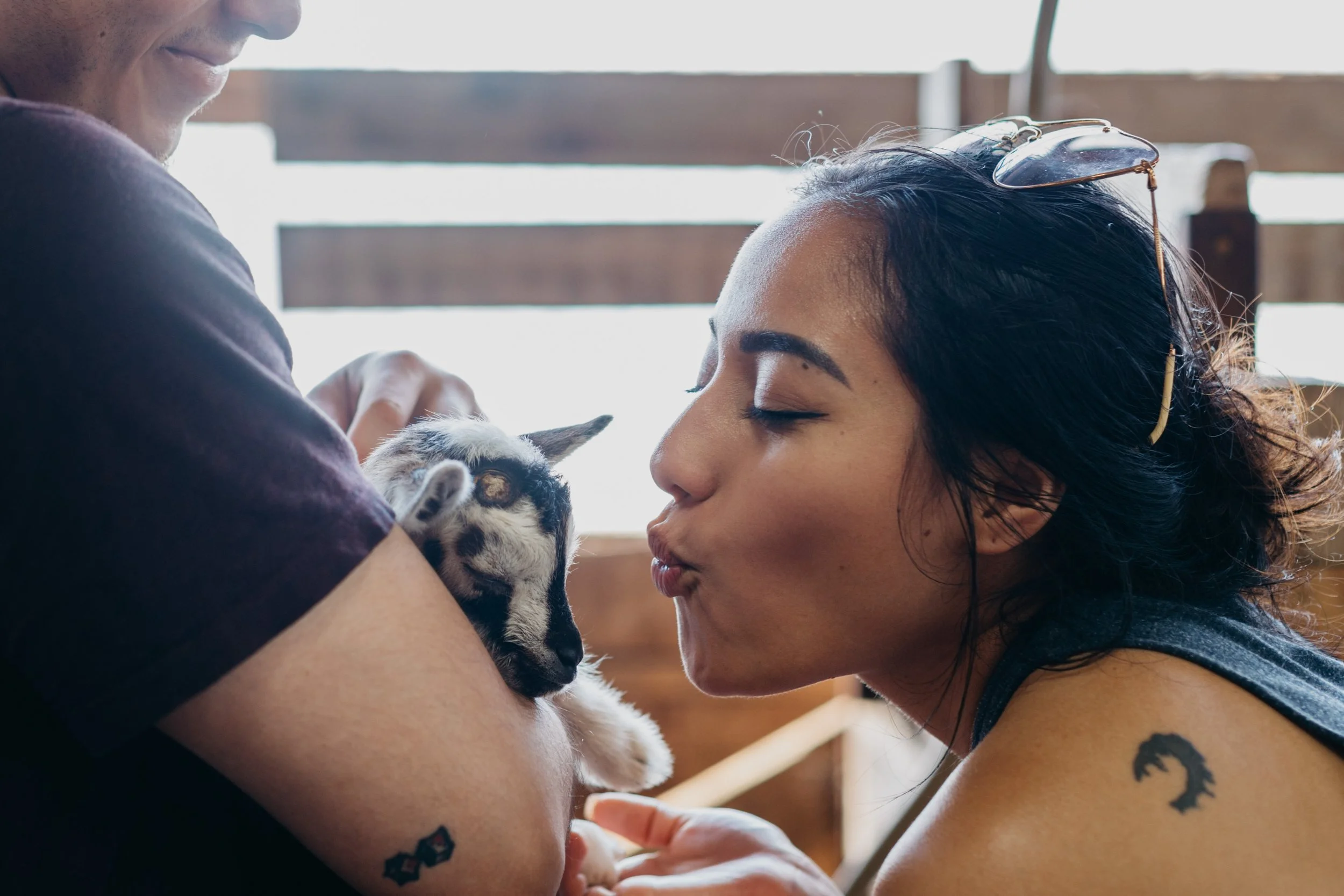 Goat Petting for Adults