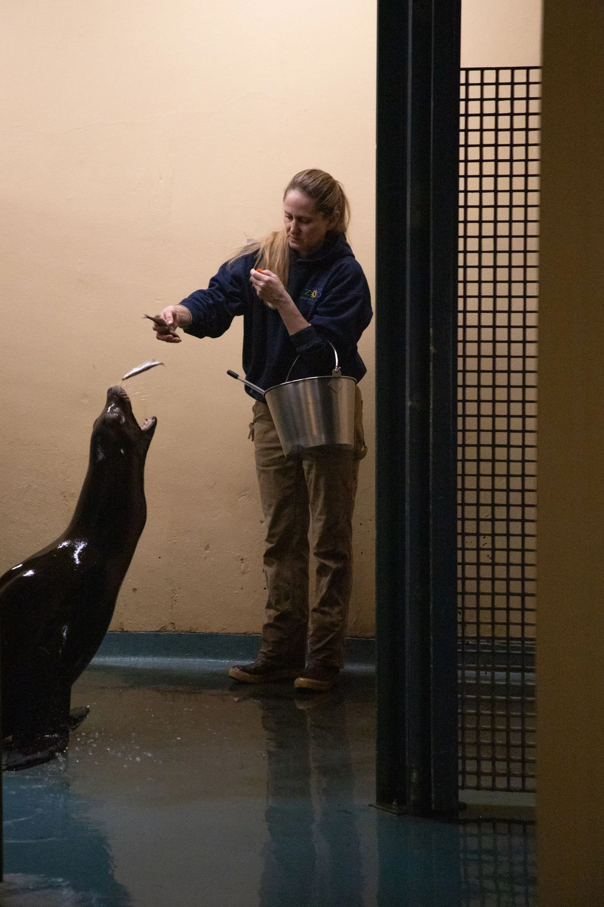 ojb_2024_PJ1_zoo_selects-0306.jpg
