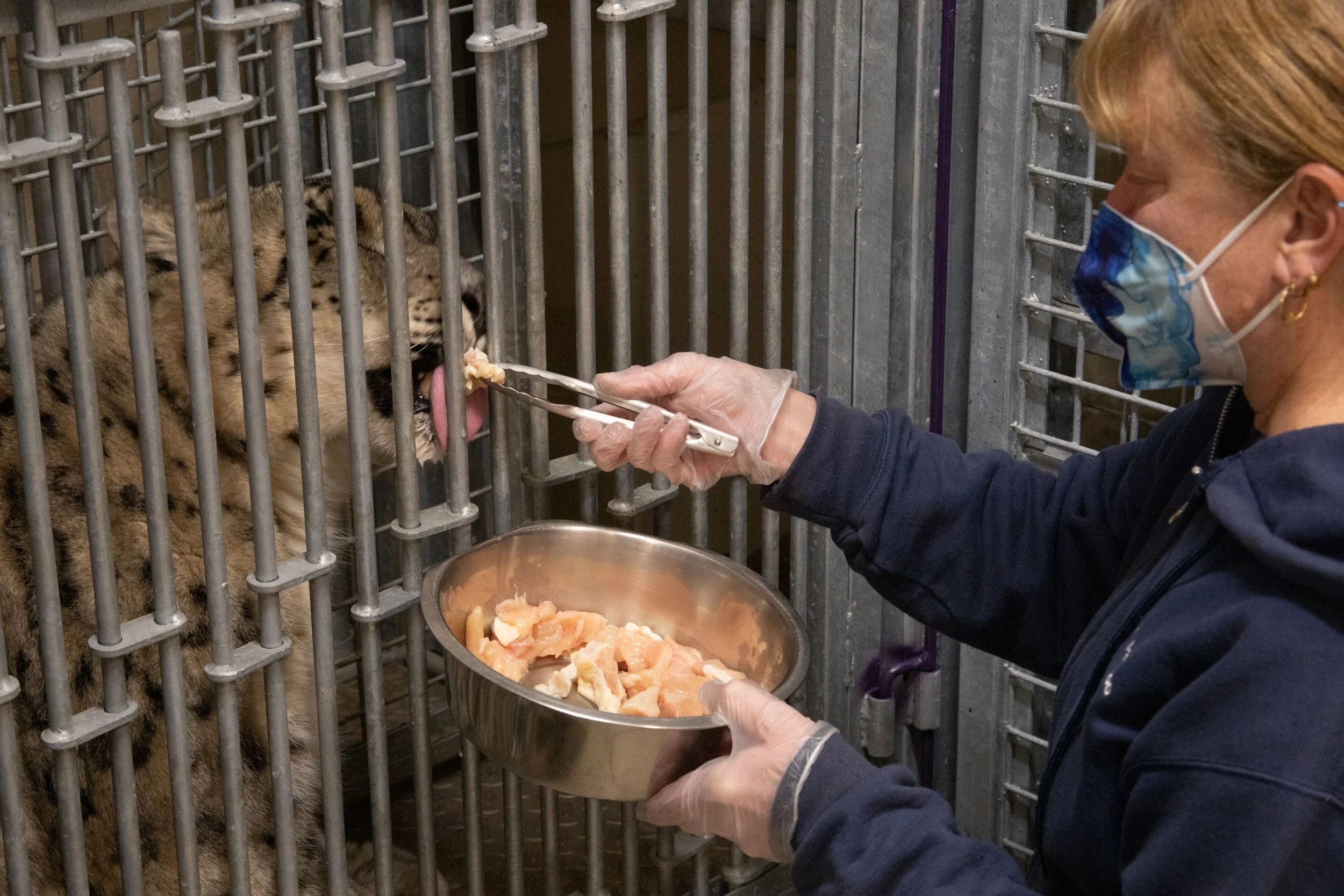 ojb_2024_PJ1_zoo_selects-1461.jpg