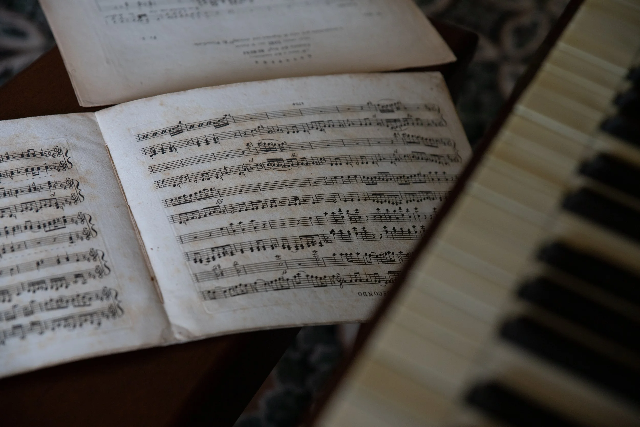 Organ_BTS-09.jpg