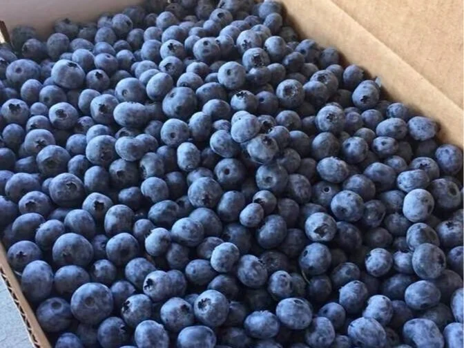 Mac & Cheese and Blueberries, Please!