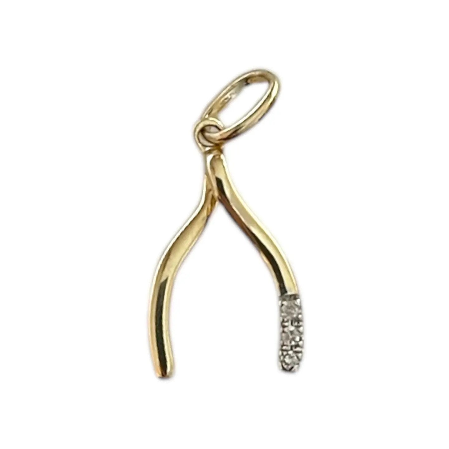 wishbone charm.jpeg